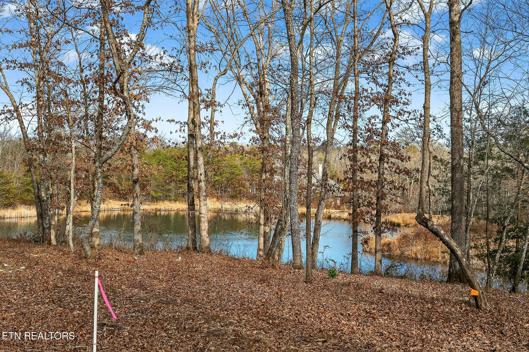 74 Riverchase Drive Crossville TN 38571