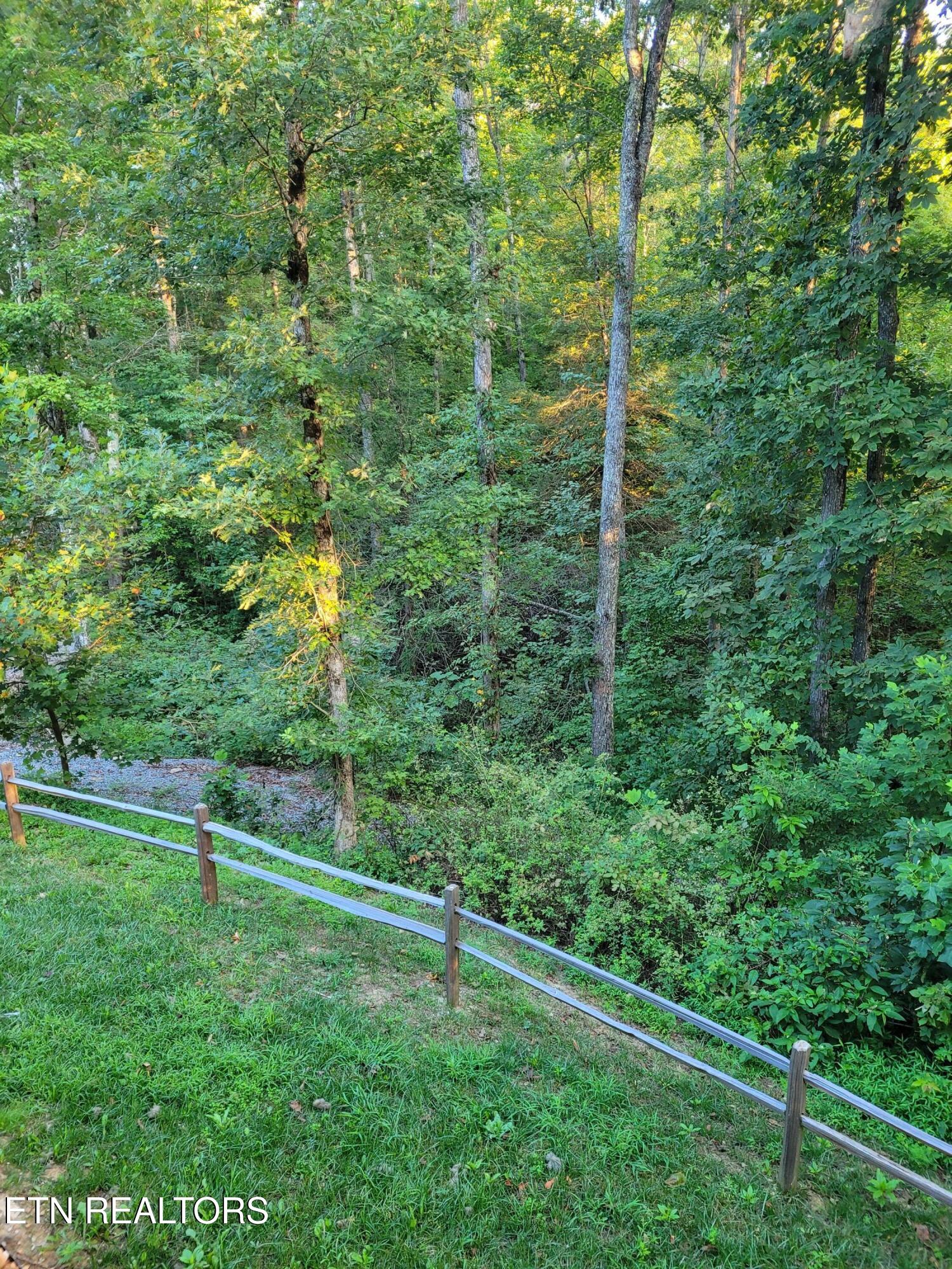 195 Laurel Cliff Road Clarkrange TN 38553