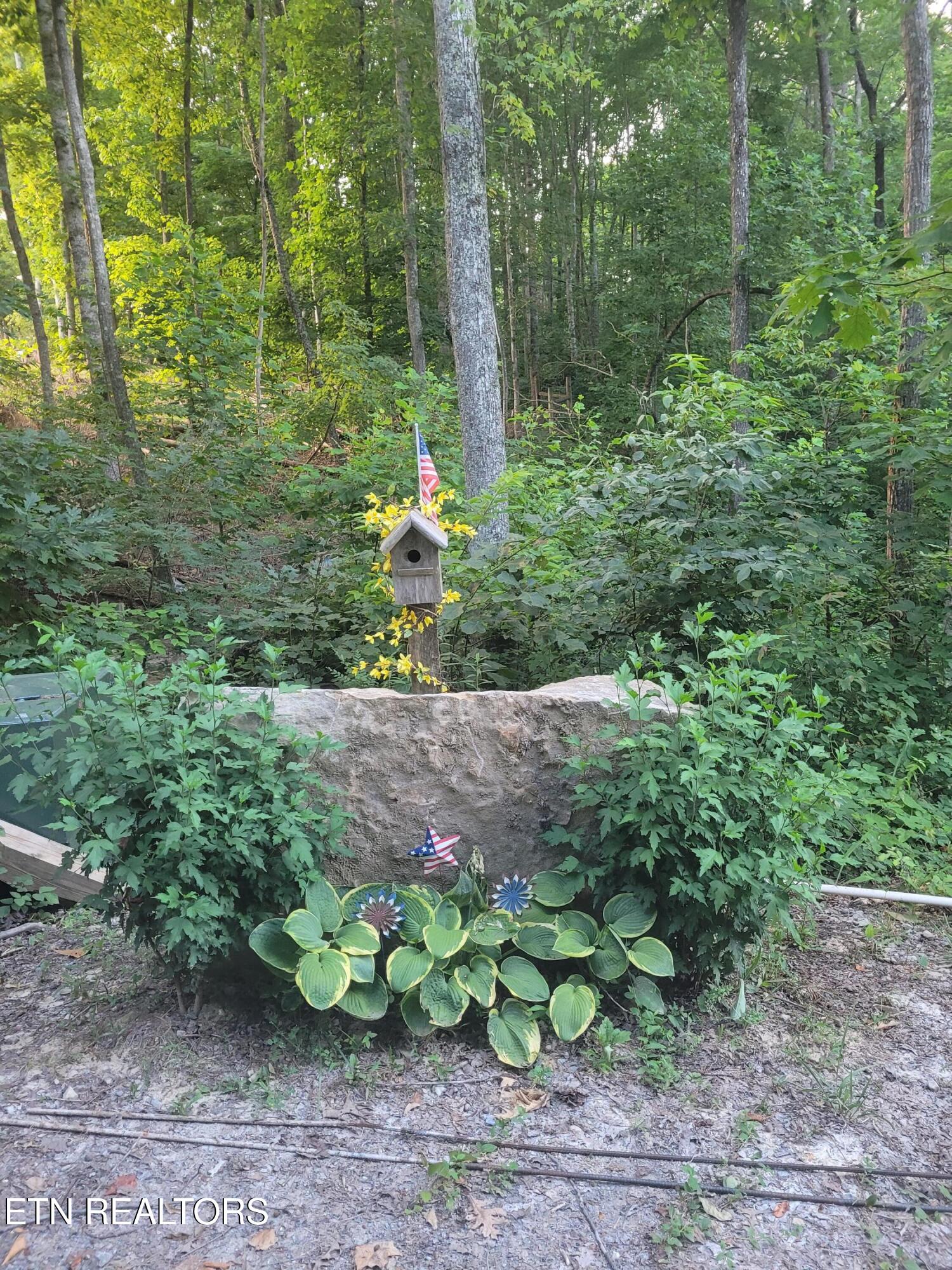 195 Laurel Cliff Road Clarkrange TN 38553