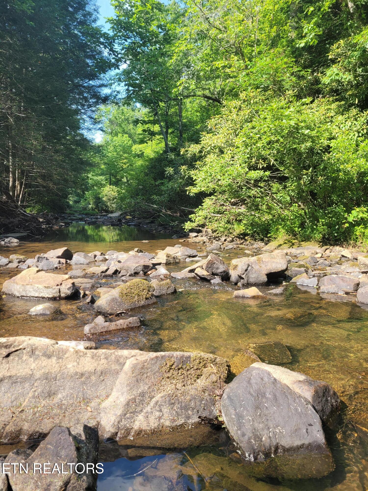 195 Laurel Cliff Road Clarkrange TN 38553