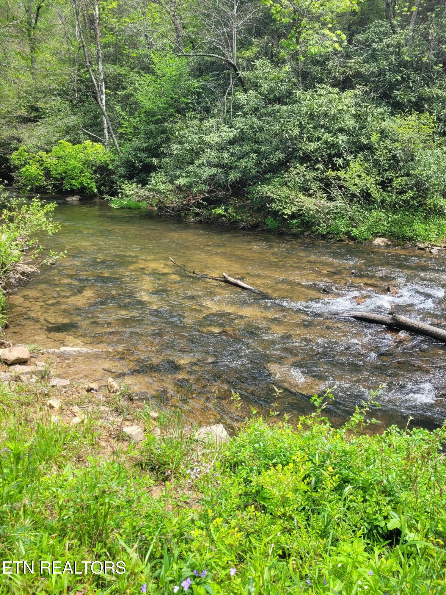 195 Laurel Cliff Road Clarkrange TN 38553