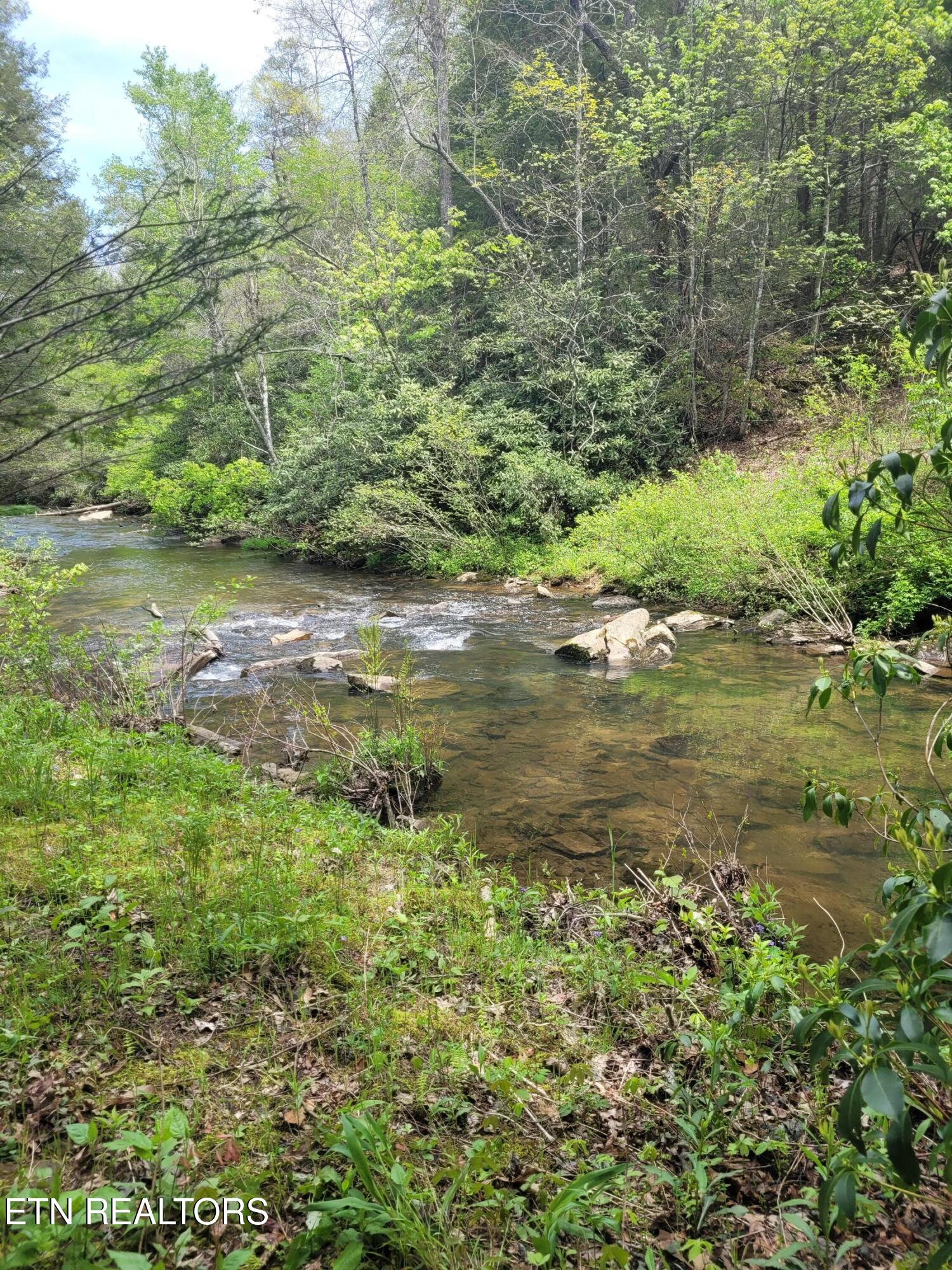195 Laurel Cliff Road Clarkrange TN 38553