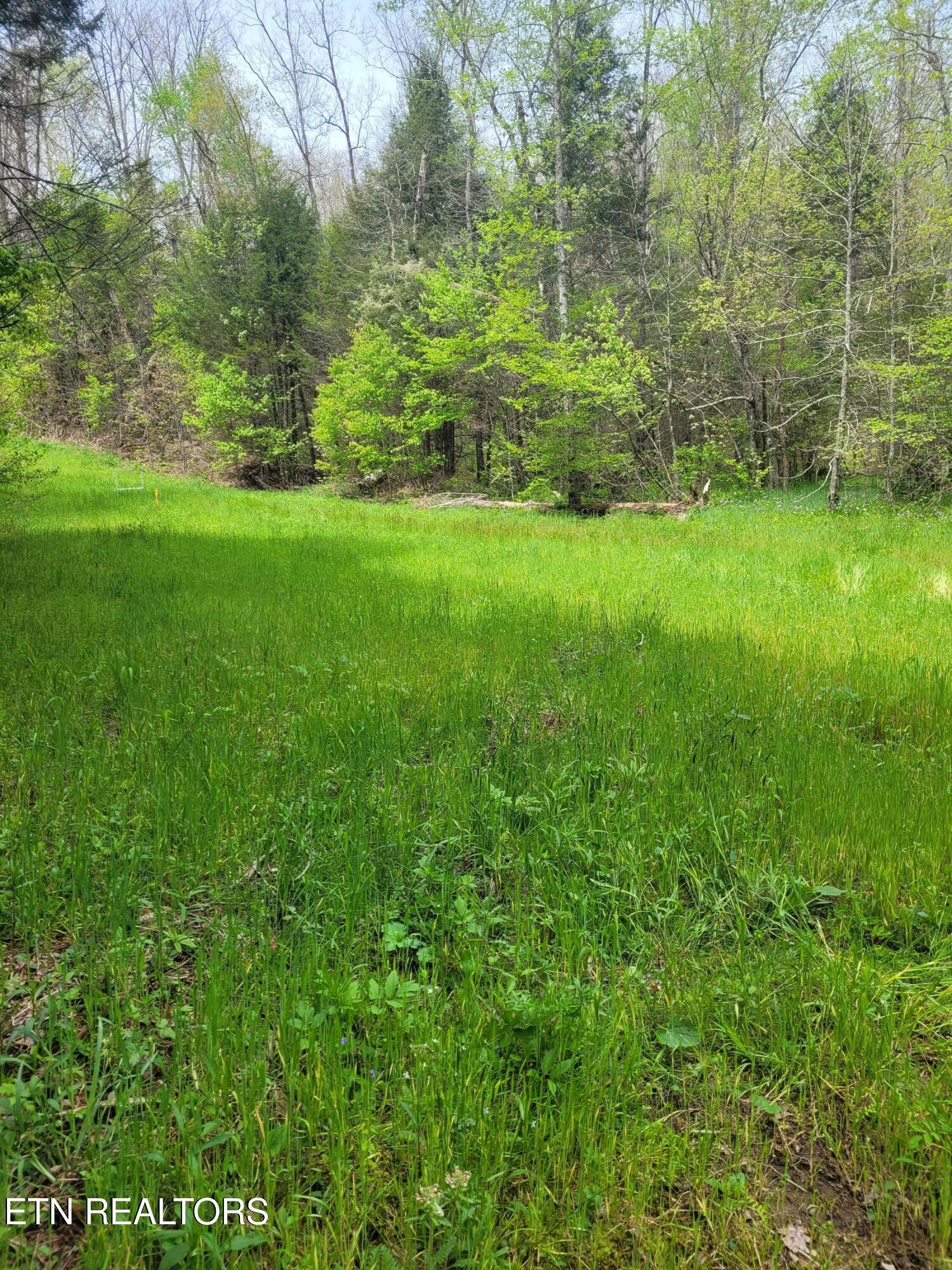 195 Laurel Cliff Road Clarkrange TN 38553