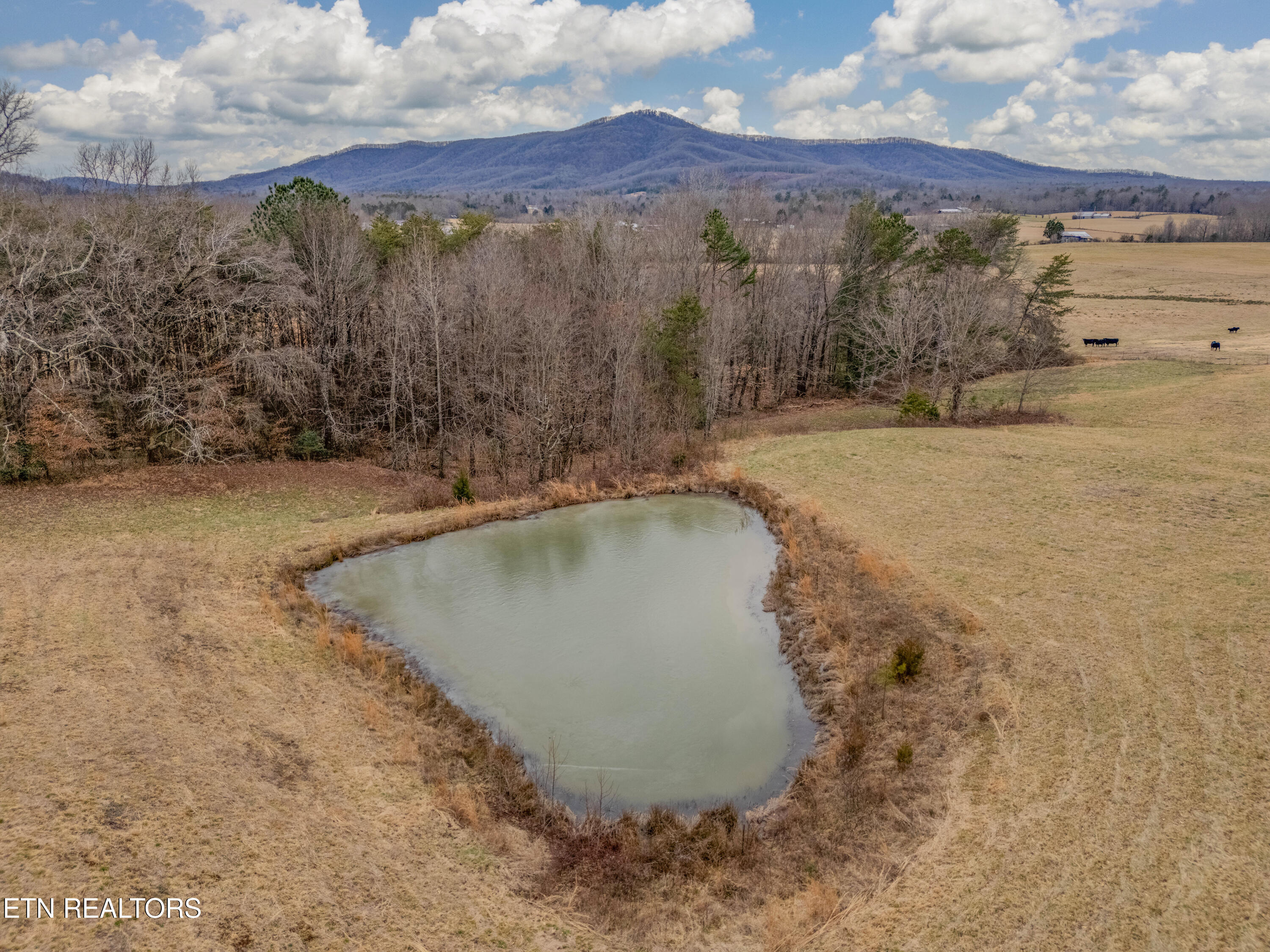 2992 Knoxville Highway Wartburg TN 37887