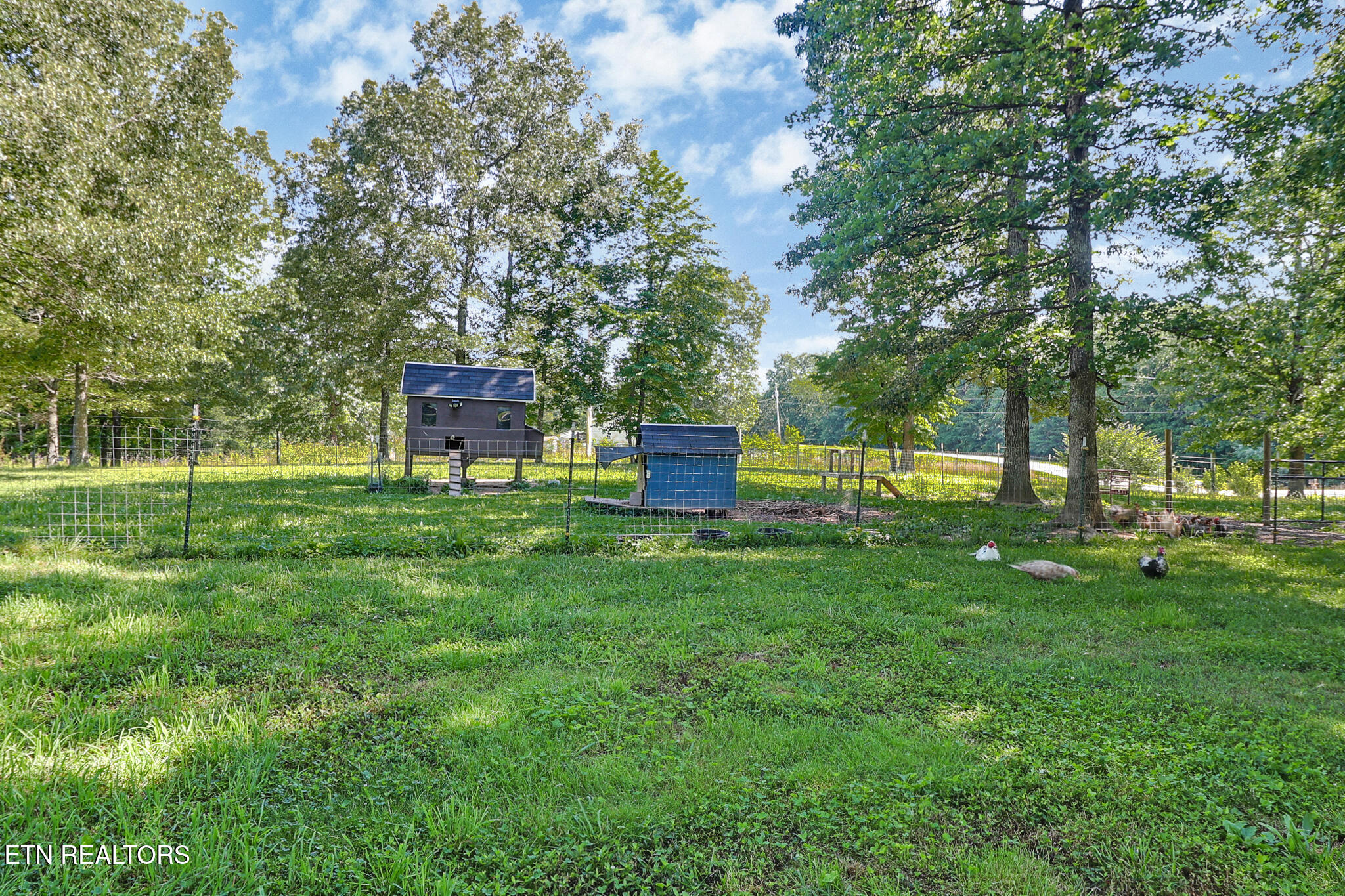 122 Frankfort Road Lancing TN 37770