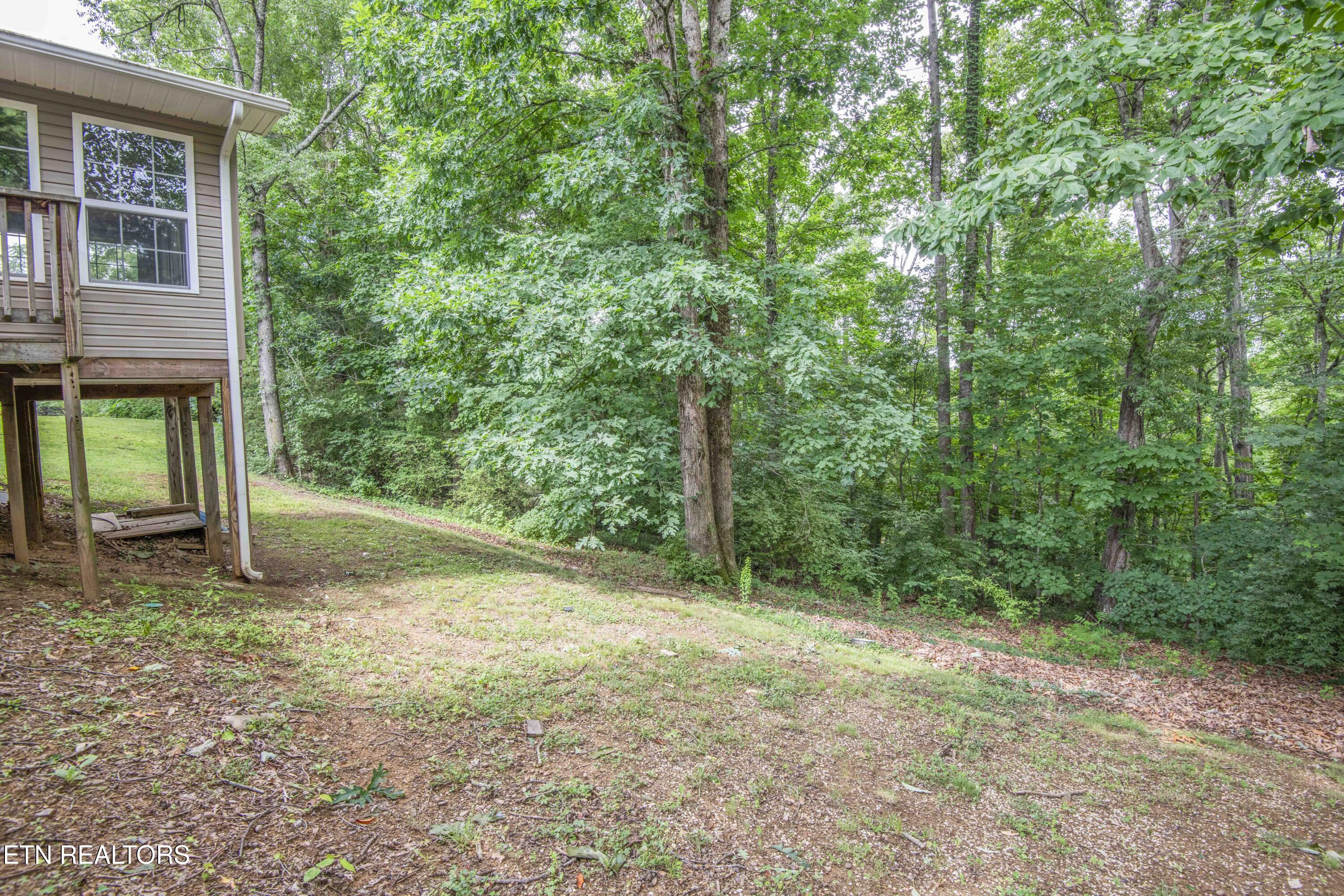 8411 Bowman Hollow Road Powell TN 37849