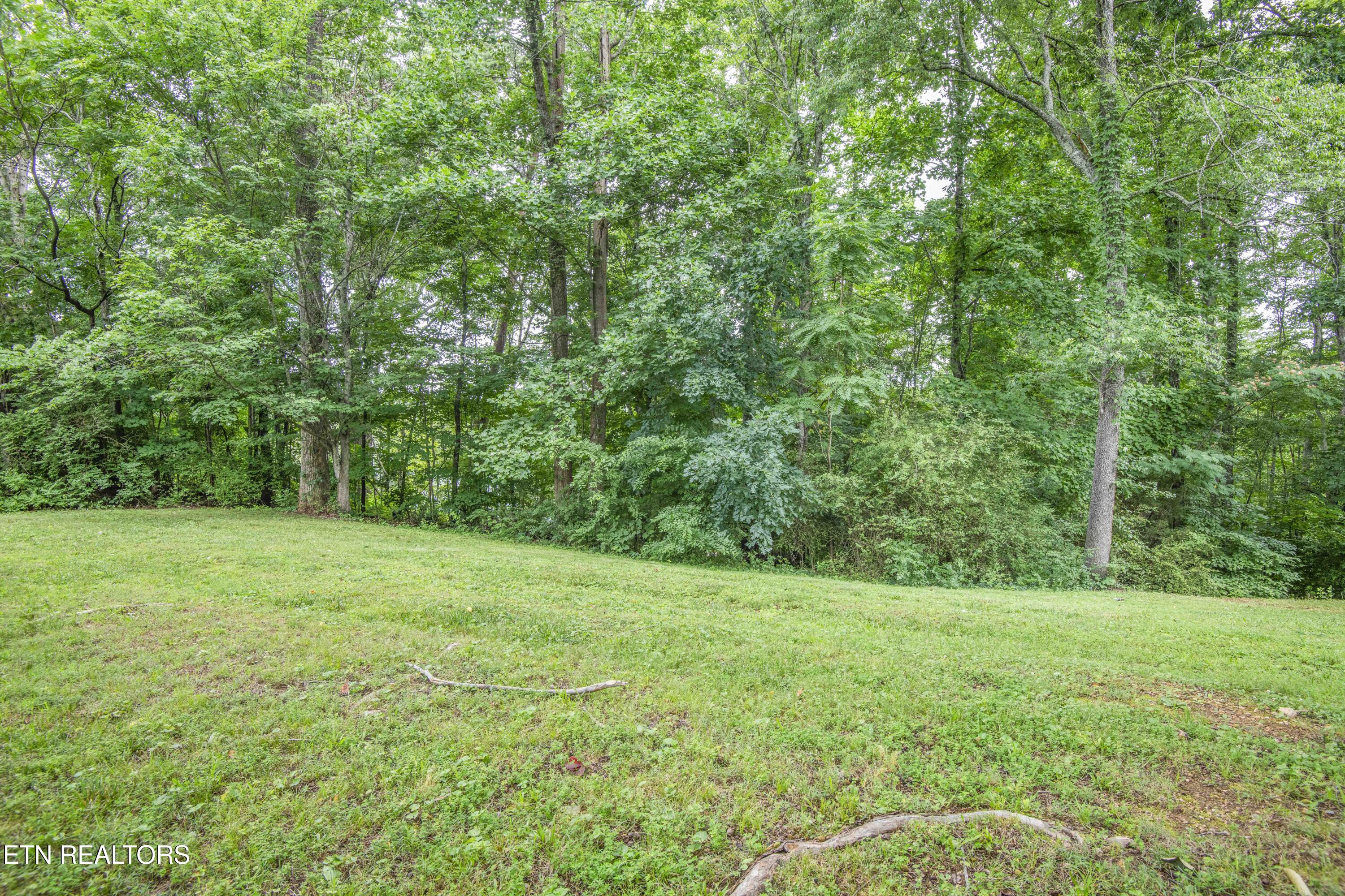 8411 Bowman Hollow Road Powell TN 37849