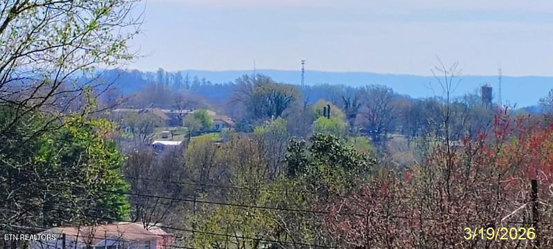 204 Riggs Street Athens TN 37303