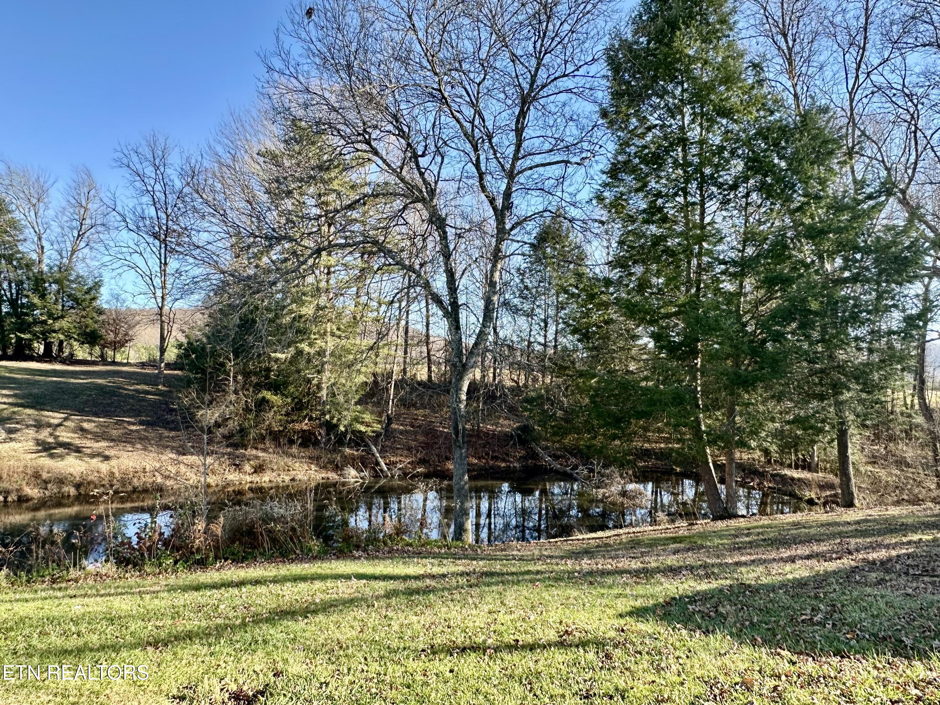 1500 Coal Hill Road Sunbright TN 37872