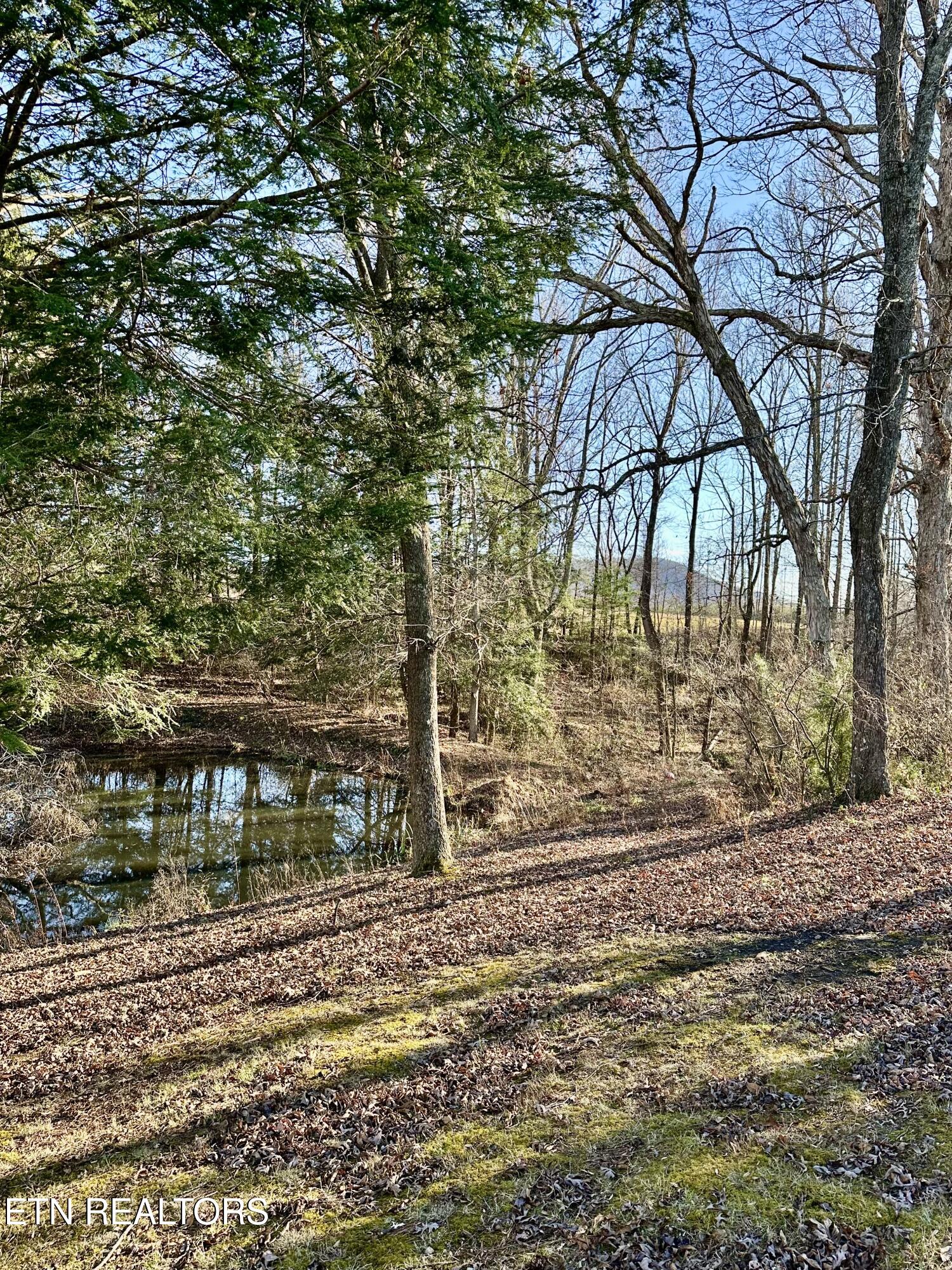 1500 Coal Hill Road Sunbright TN 37872