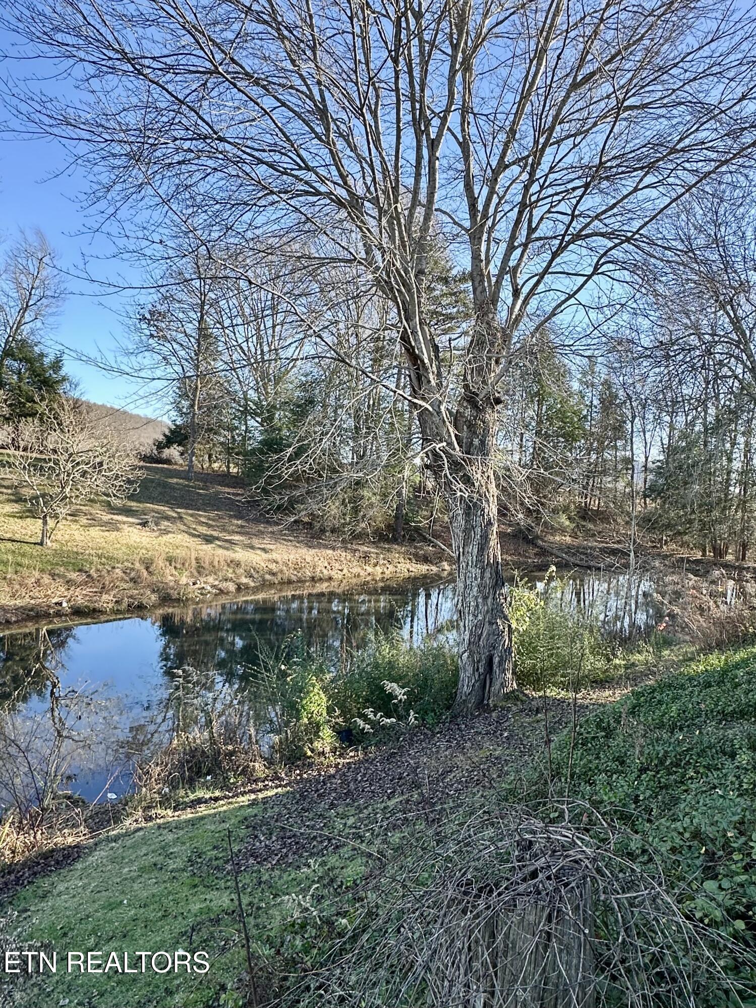 1500 Coal Hill Road Sunbright TN 37872