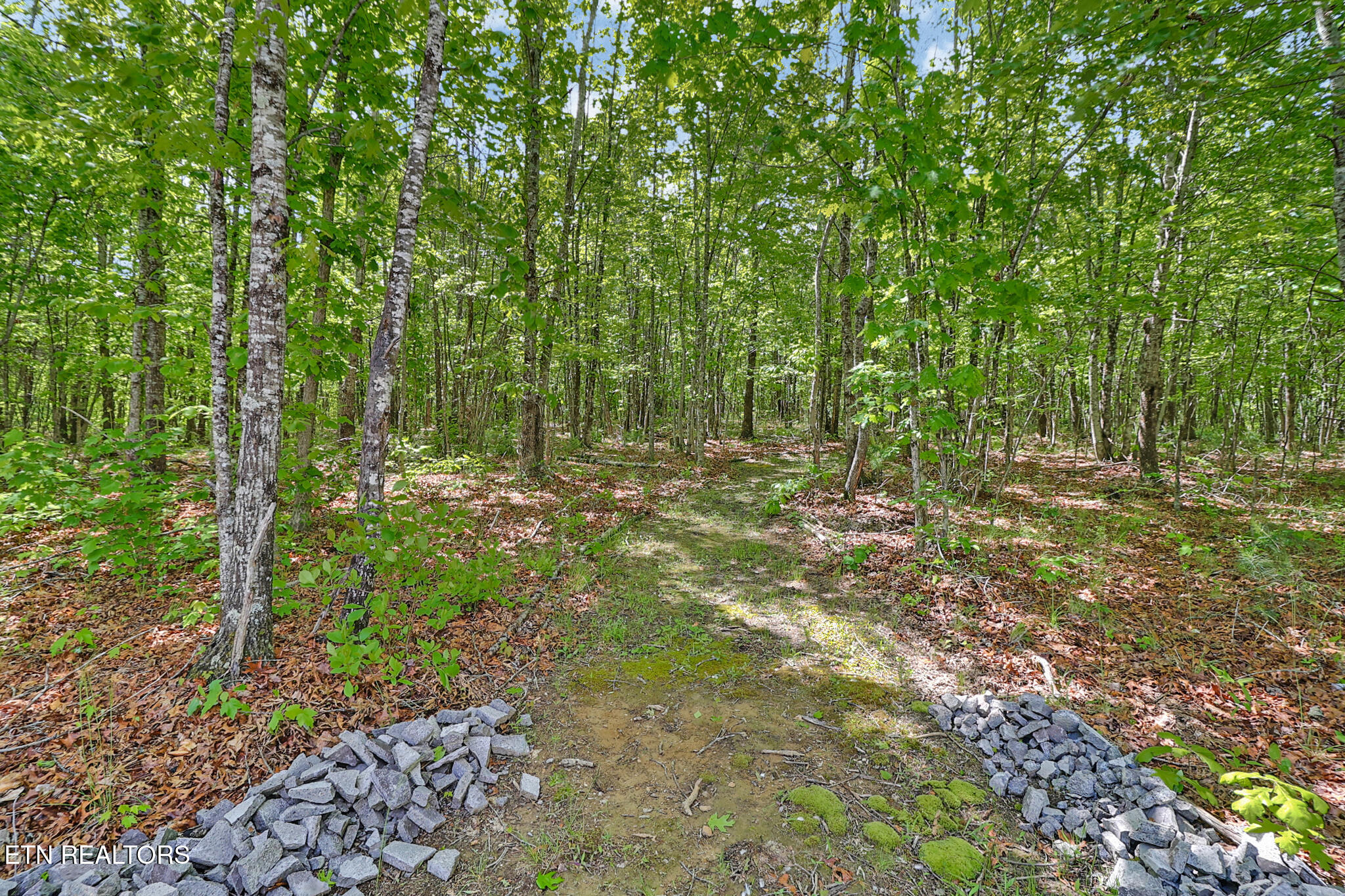 714 Dubose Drive Jamestown TN 38556