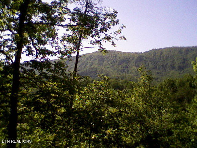 2012 Old Chilhowee Road Seymour TN 37865