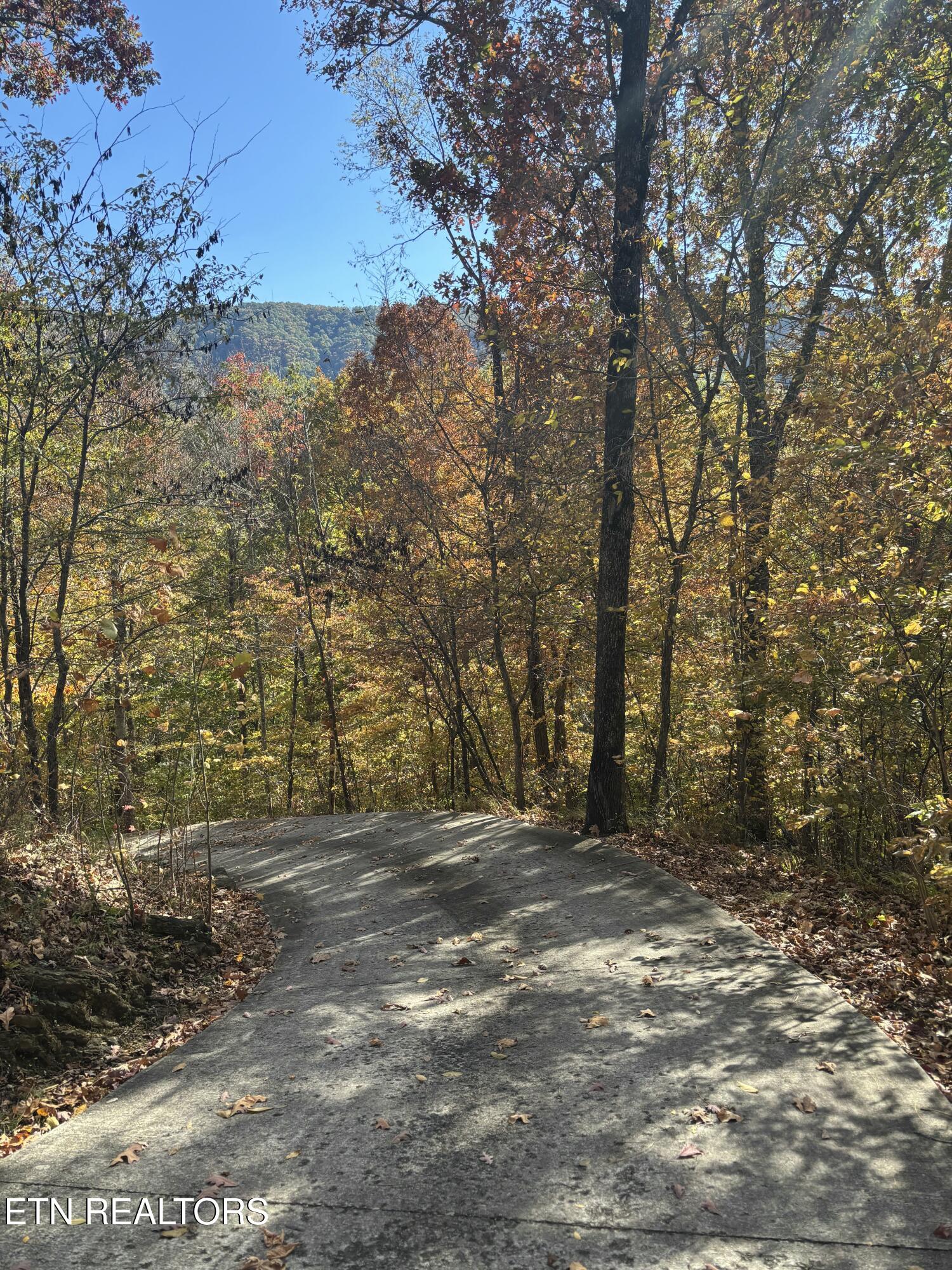2012 Old Chilhowee Road Seymour TN 37865