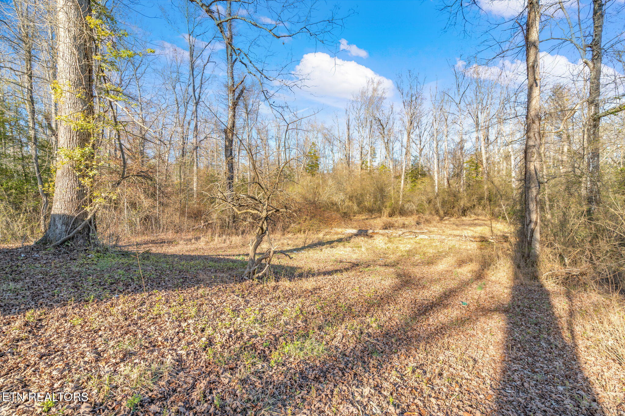 3664 3648 Morgan County Highway Wartburg TN 37887