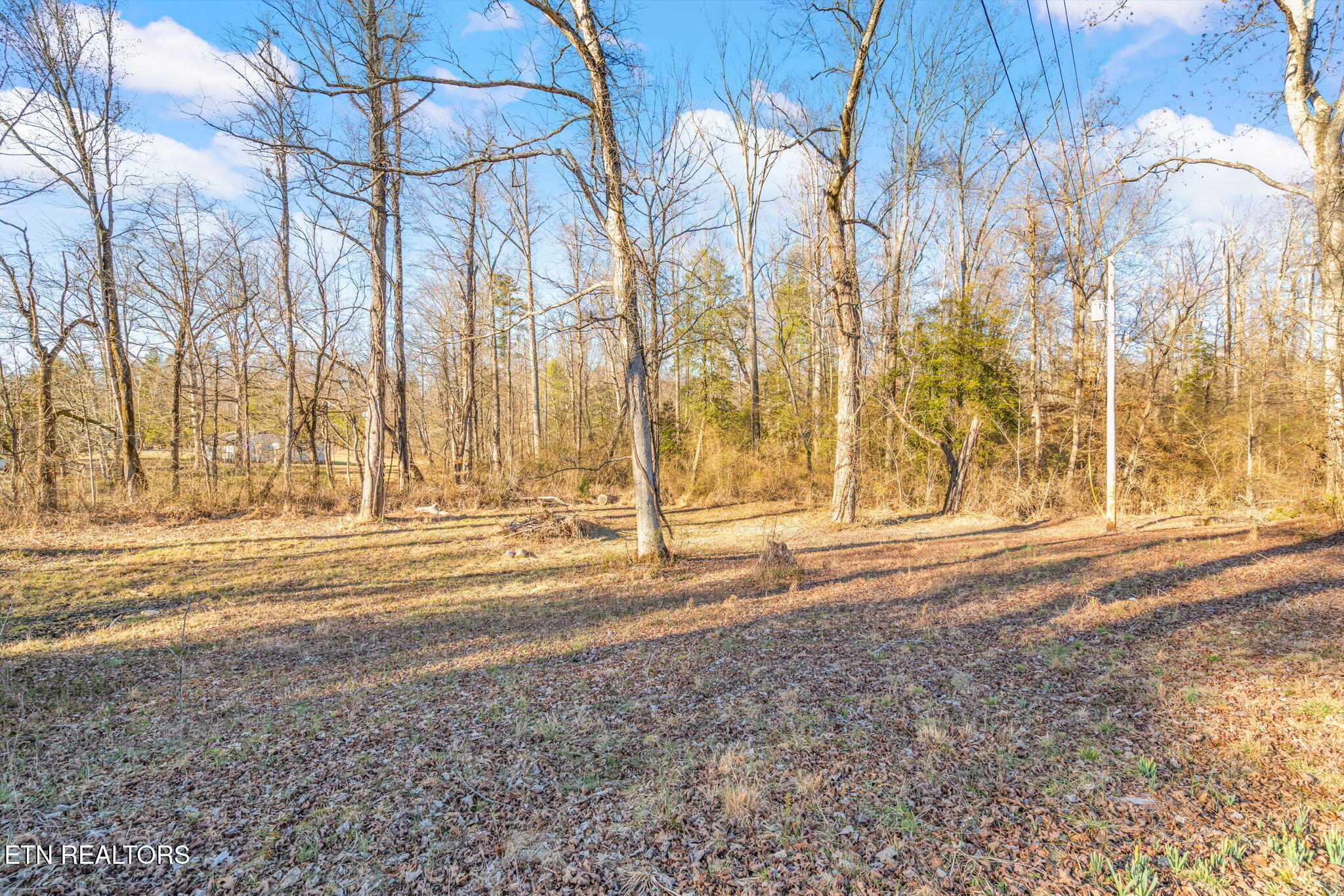 3664 3648 Morgan County Highway Wartburg TN 37887