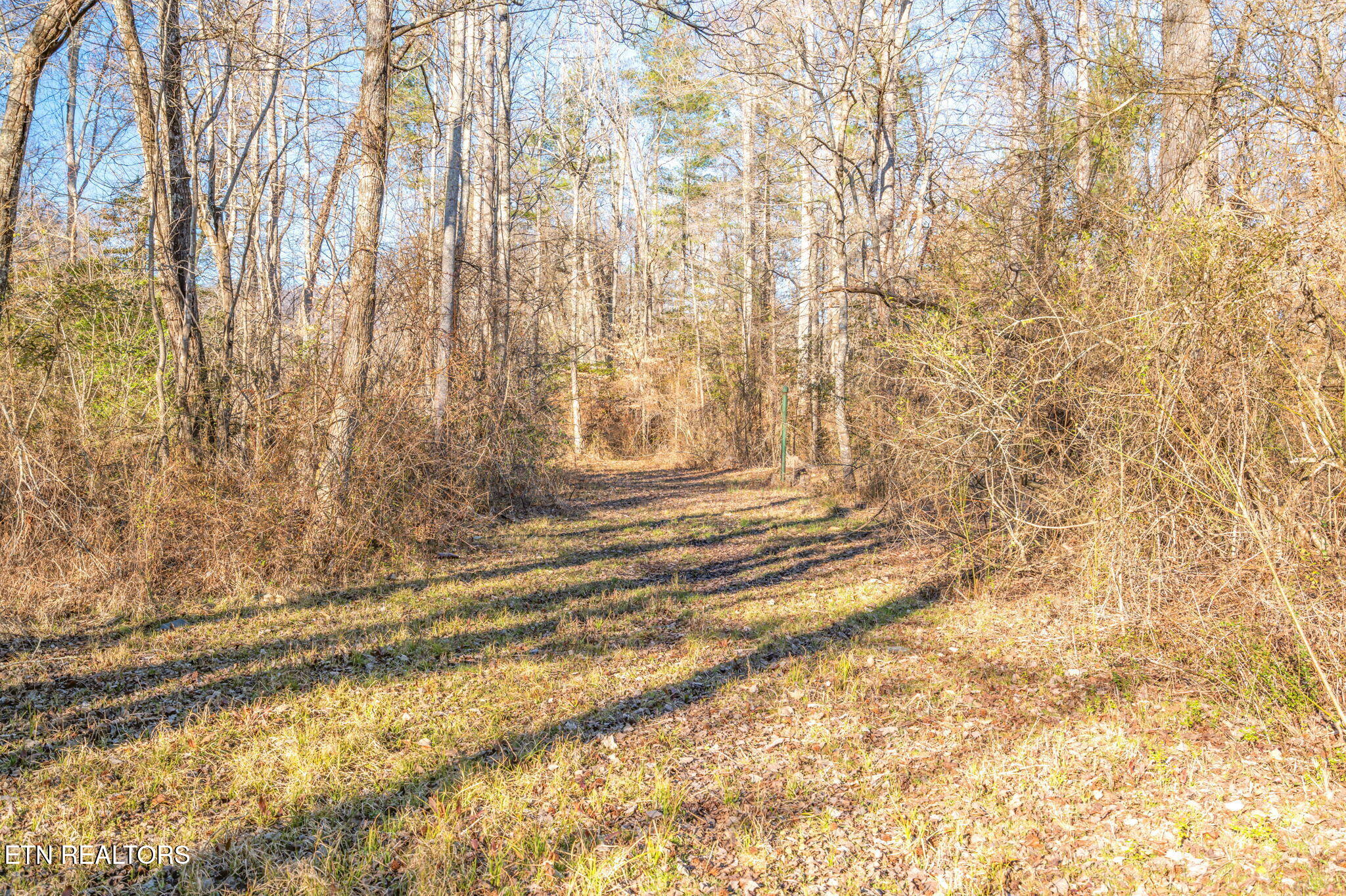 3664 3648 Morgan County Highway Wartburg TN 37887