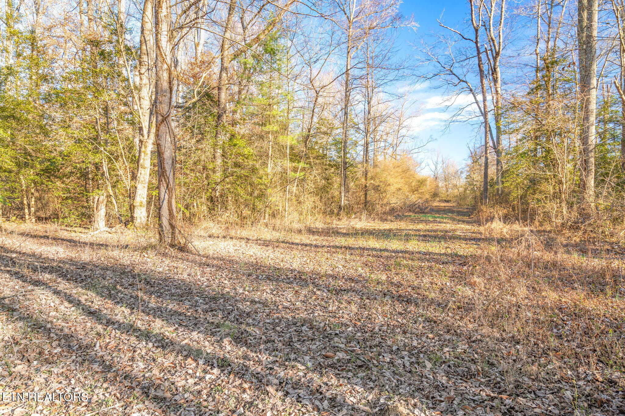3664 3648 Morgan County Highway Wartburg TN 37887