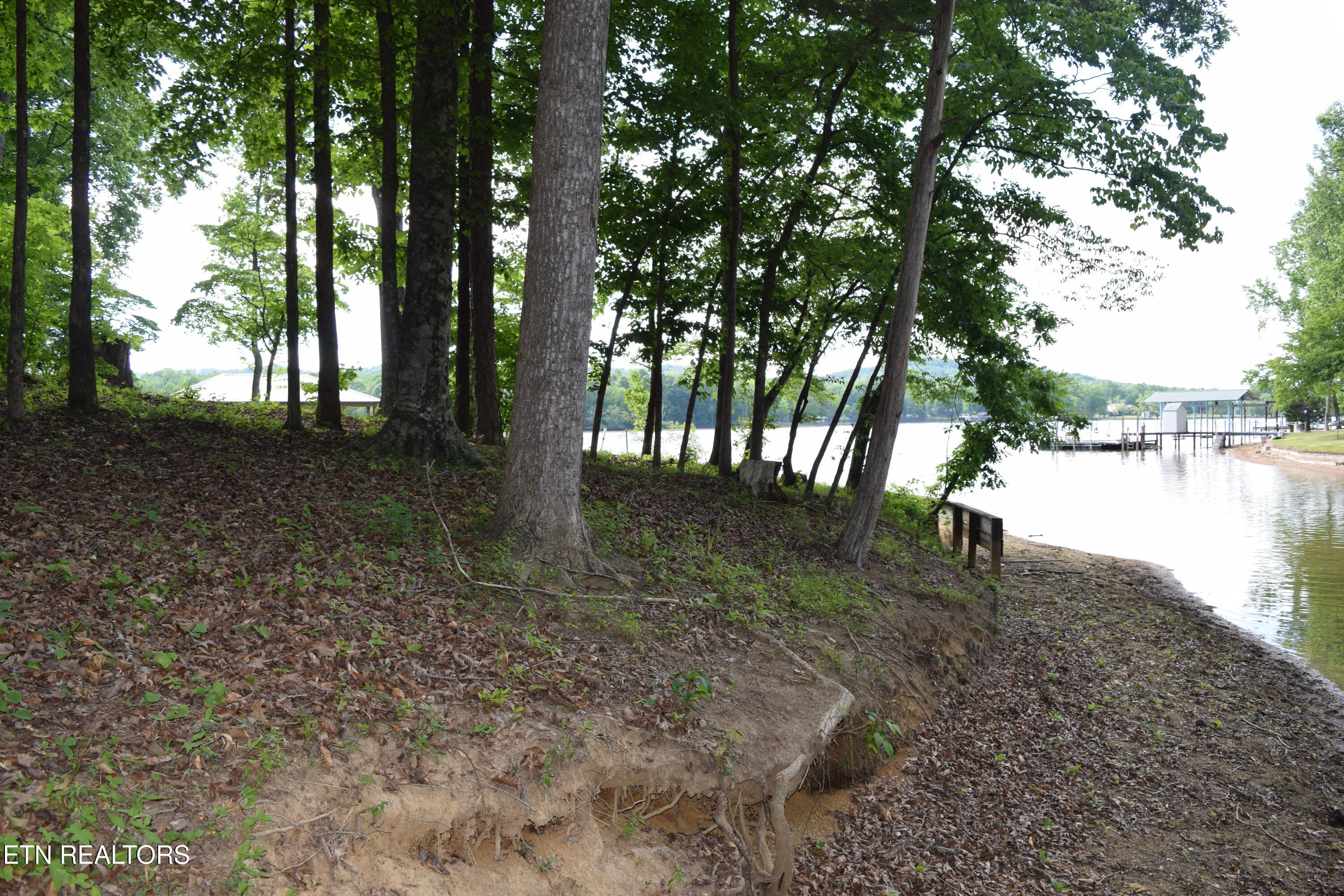 216 Blue Herron Way Ten Mile TN 37880