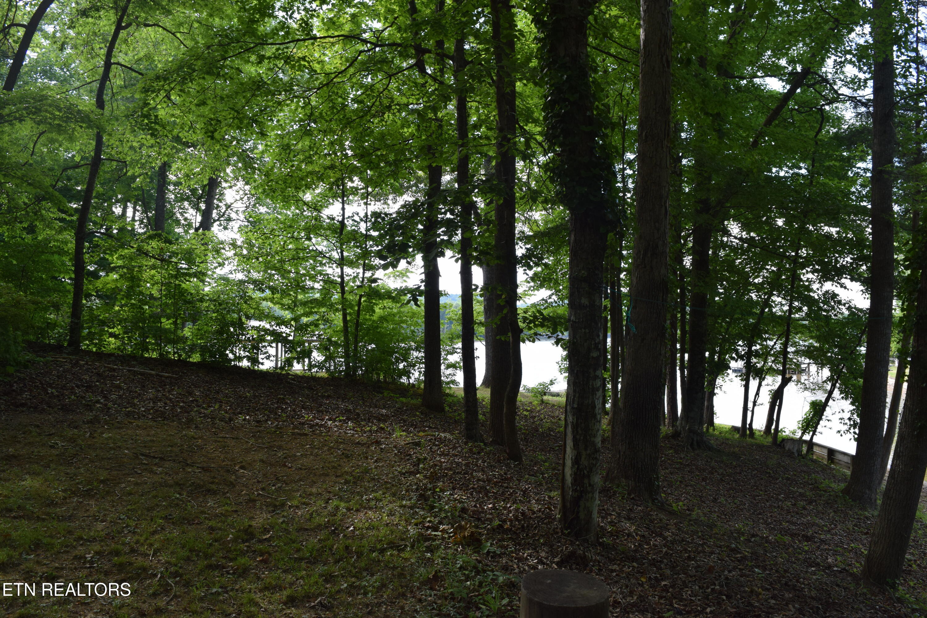 216 Blue Herron Way Ten Mile TN 37880