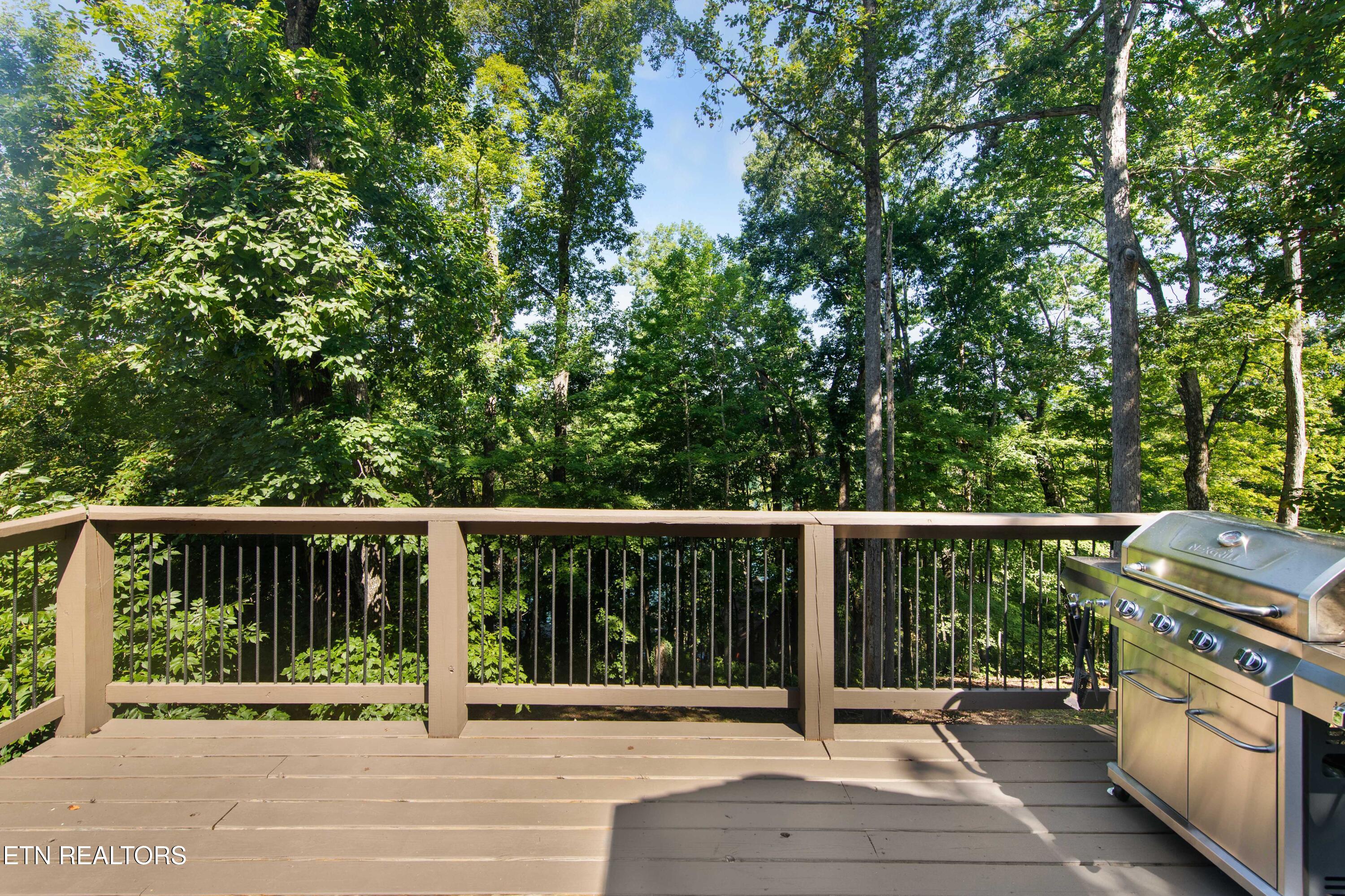 151 Dogwood Trail Maynardville TN 37807
