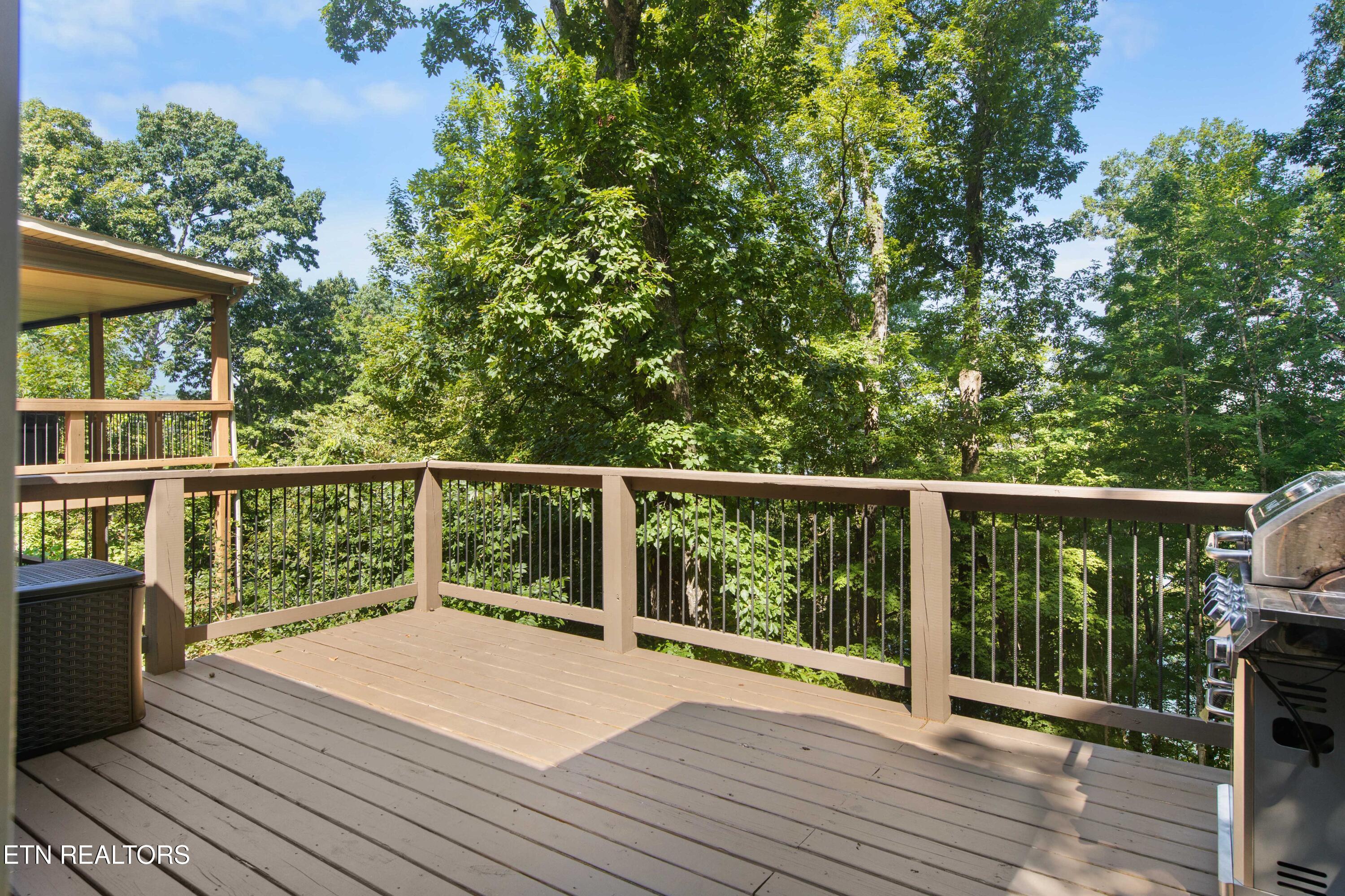 151 Dogwood Trail Maynardville TN 37807