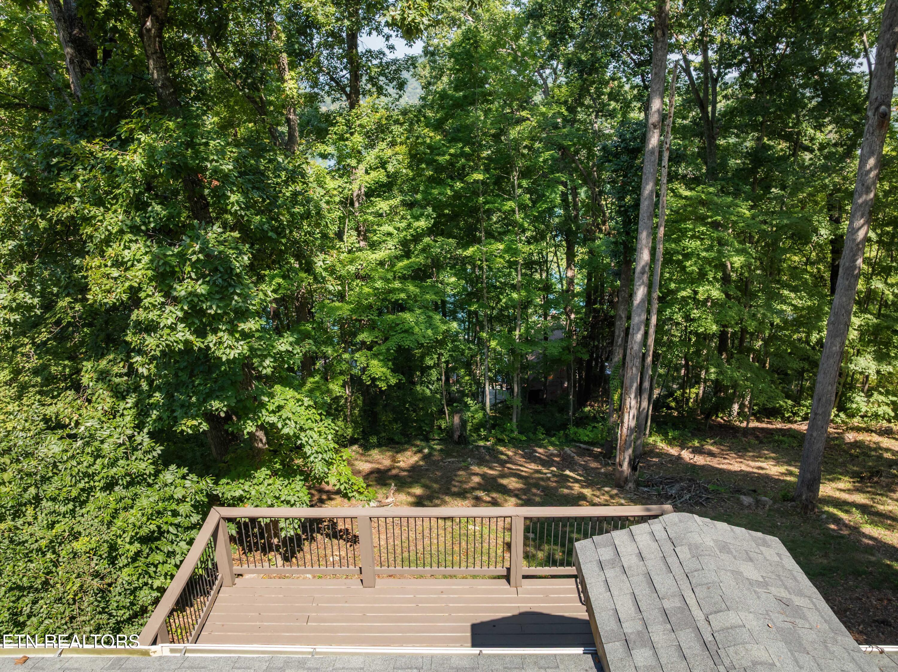 151 Dogwood Trail Maynardville TN 37807