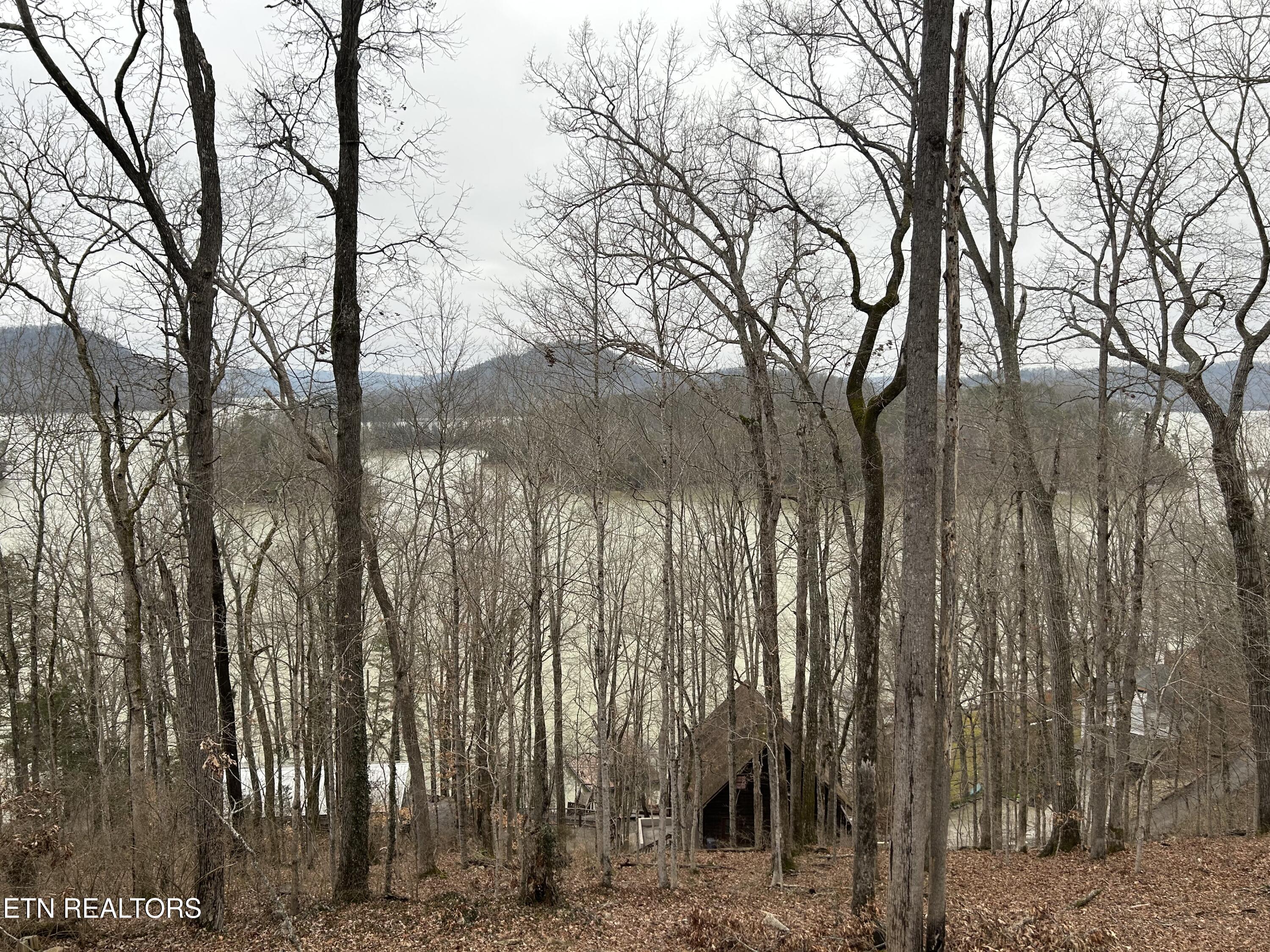 151 Dogwood Trail Maynardville TN 37807
