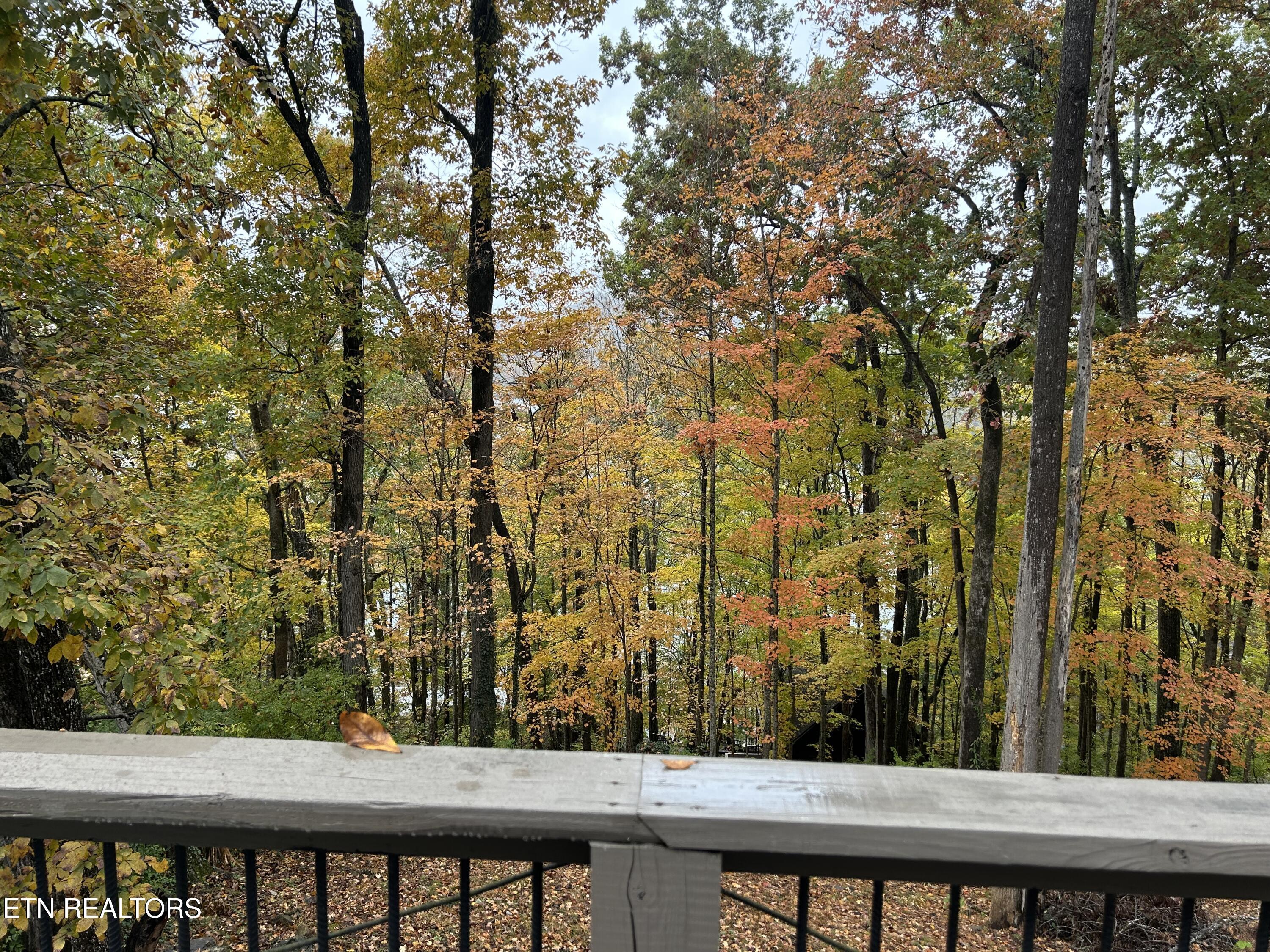 151 Dogwood Trail Maynardville TN 37807