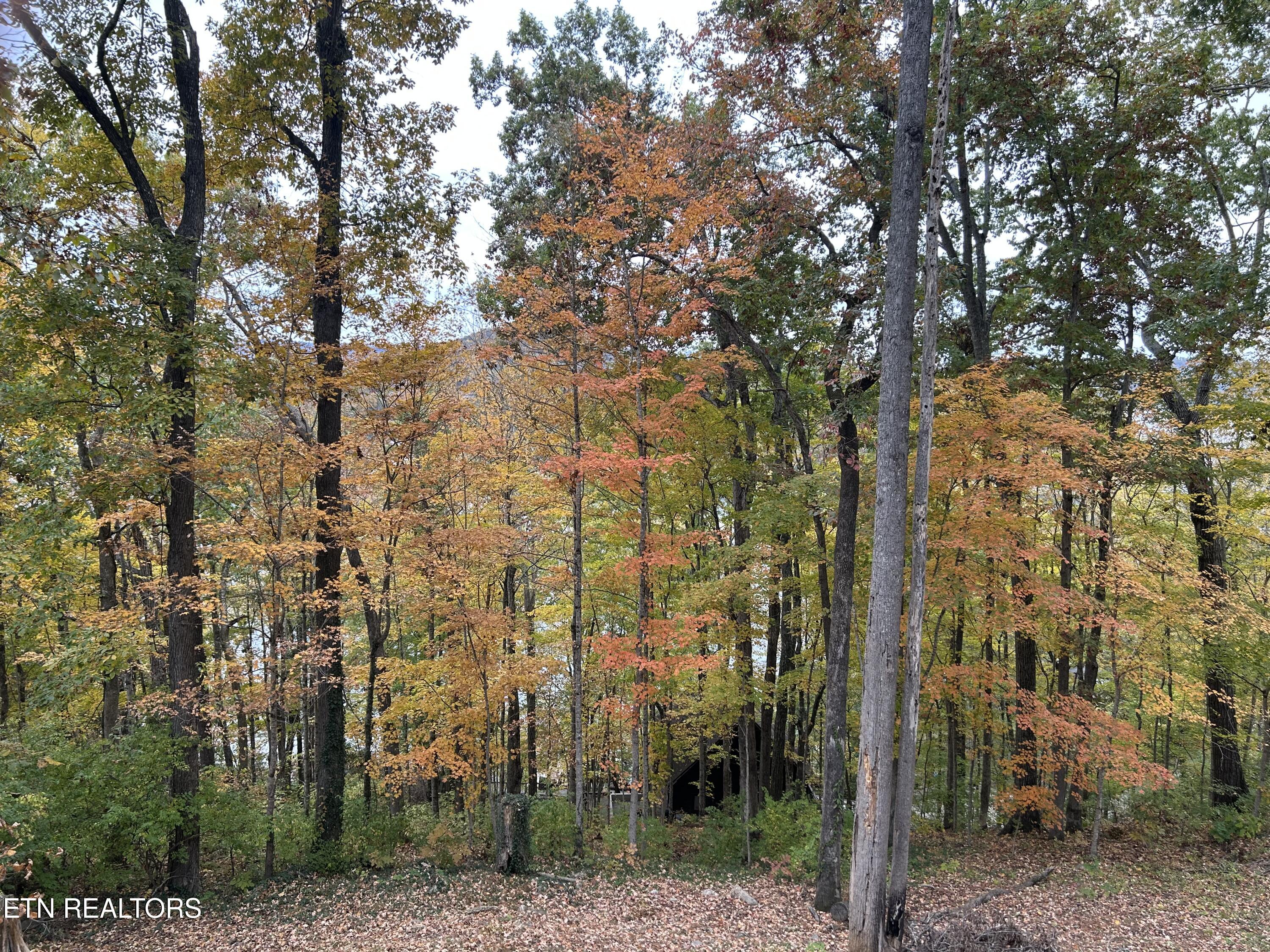 151 Dogwood Trail Maynardville TN 37807