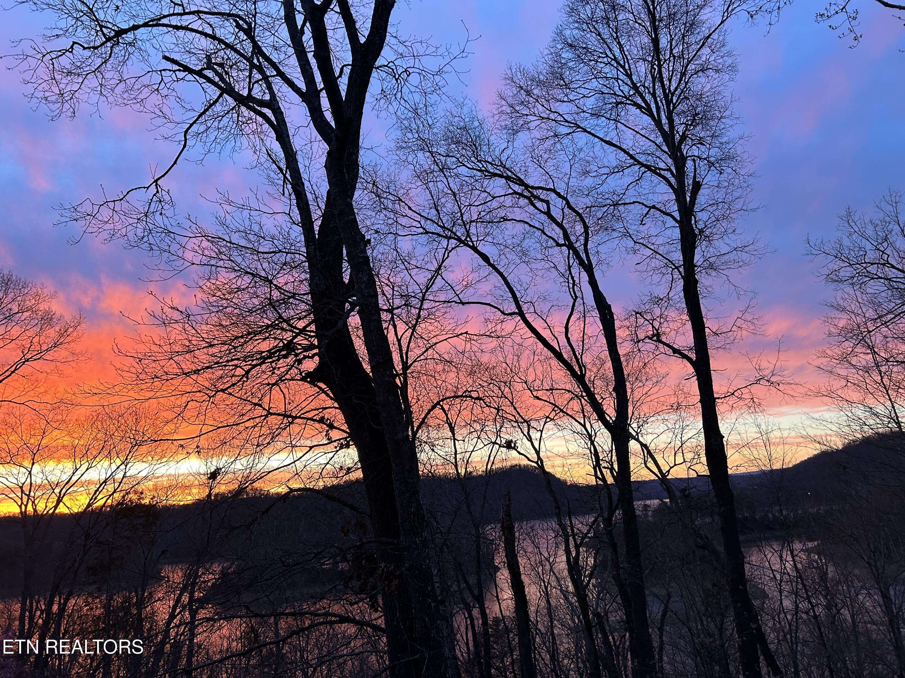 151 Dogwood Trail Maynardville TN 37807