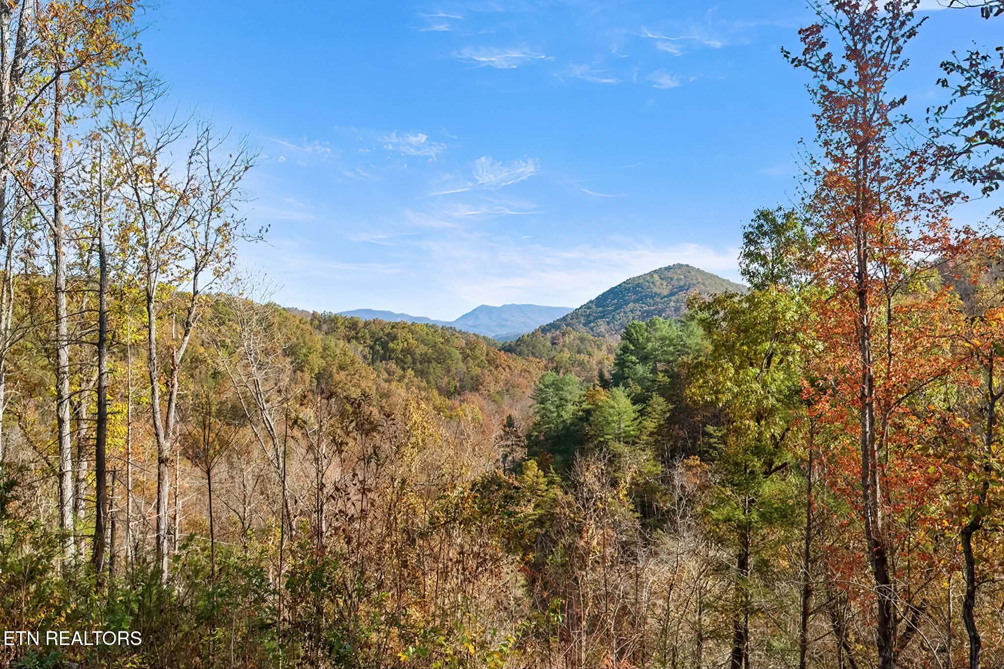 3571 Locust Ridge Road Sevierville TN 37876