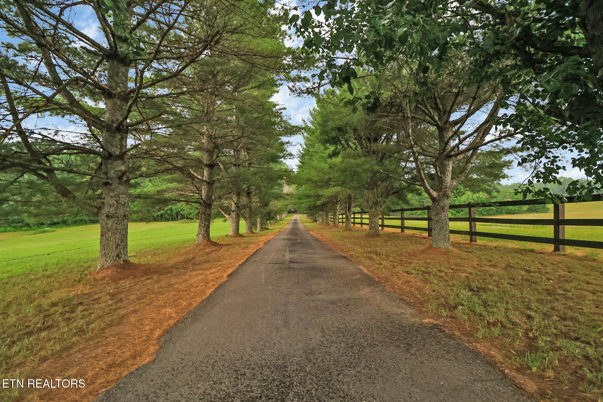 1541 Clear Creek Road Crossville TN 38571