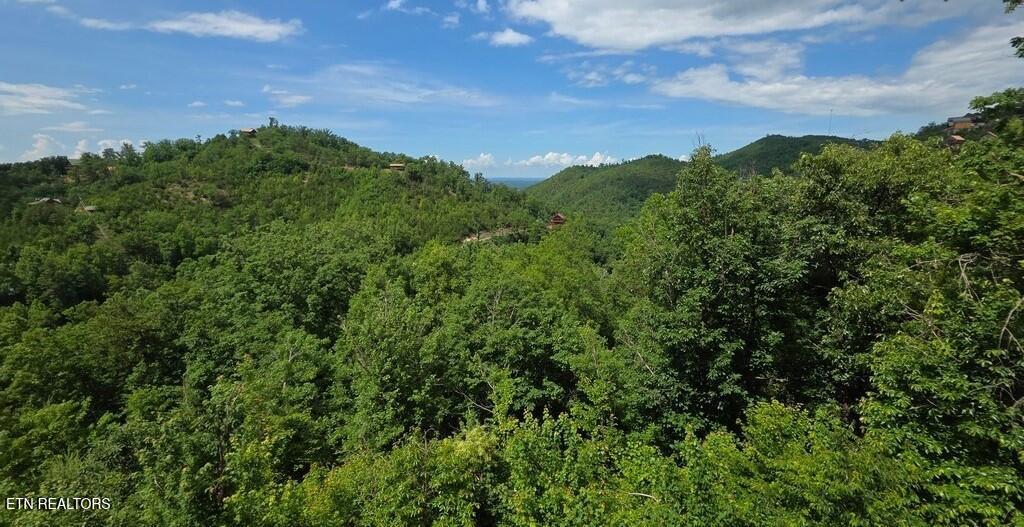 2123 Windy Lane Sevierville TN 37876