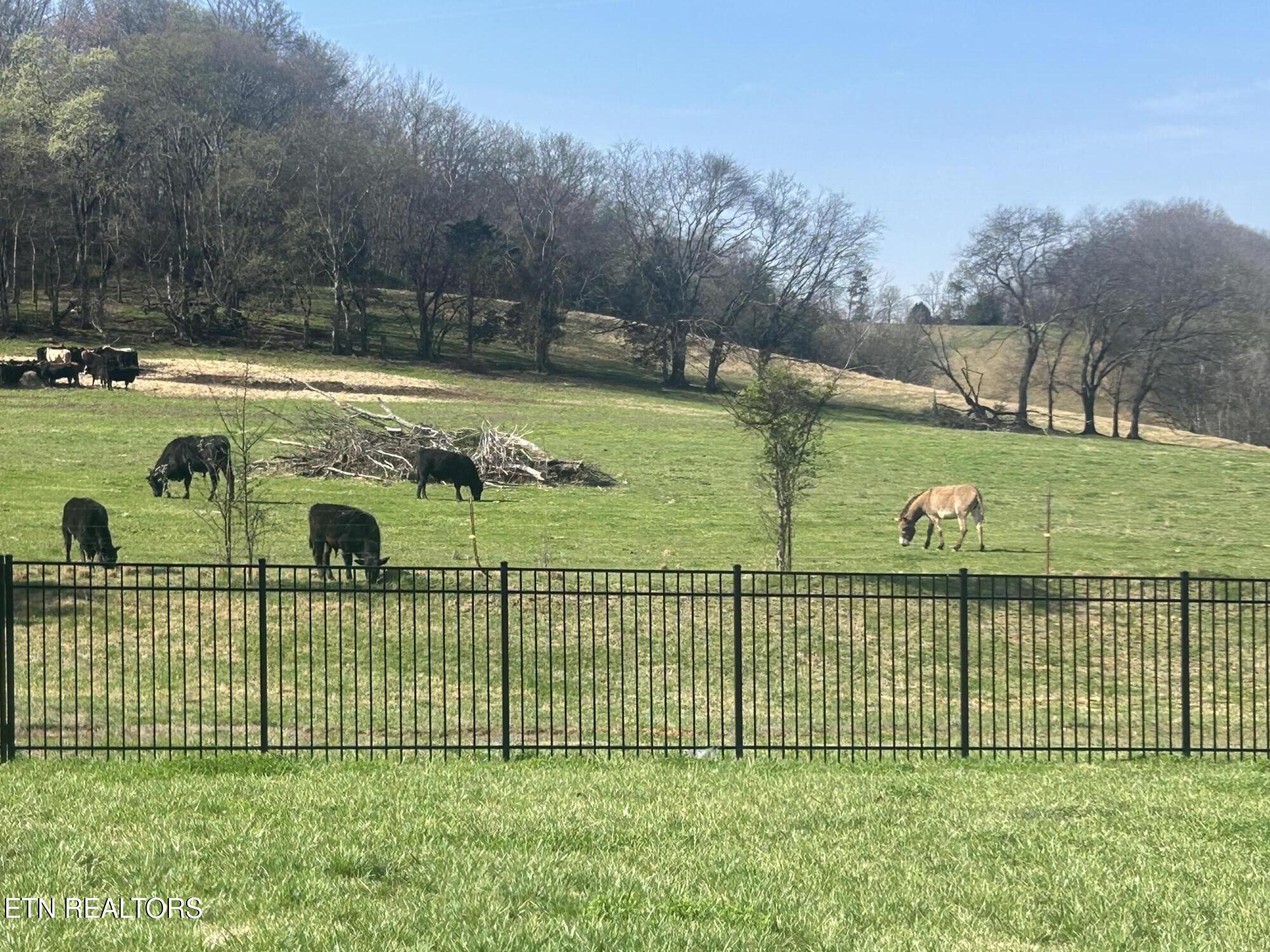 2013 Farm Boulevard Sevierville TN 37876