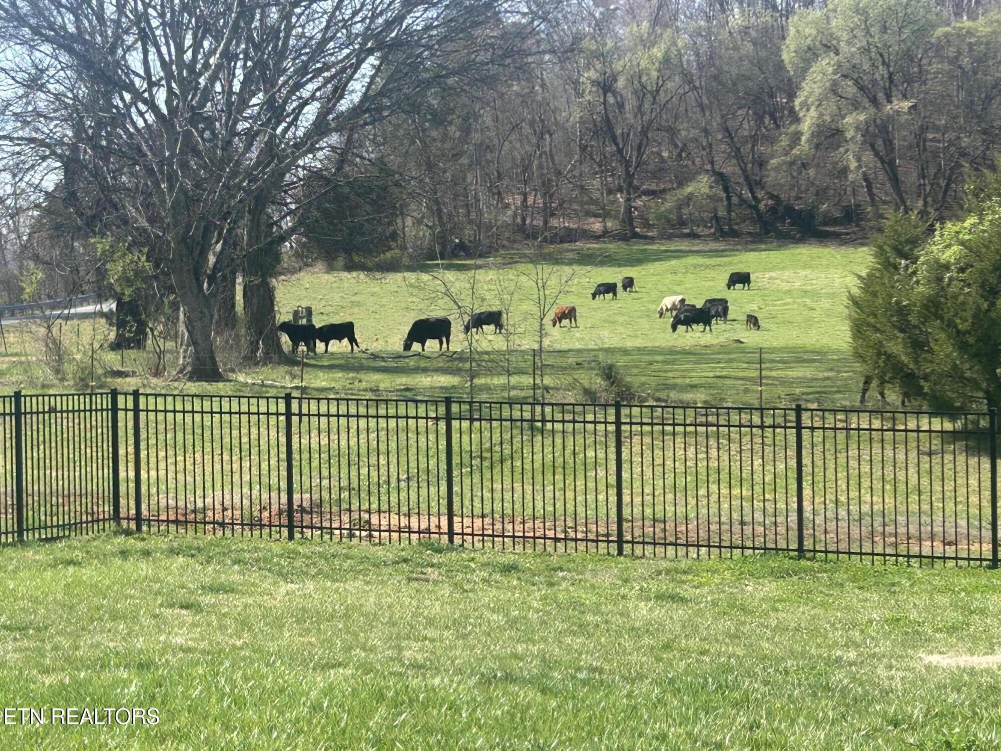 2013 Farm Boulevard Sevierville TN 37876