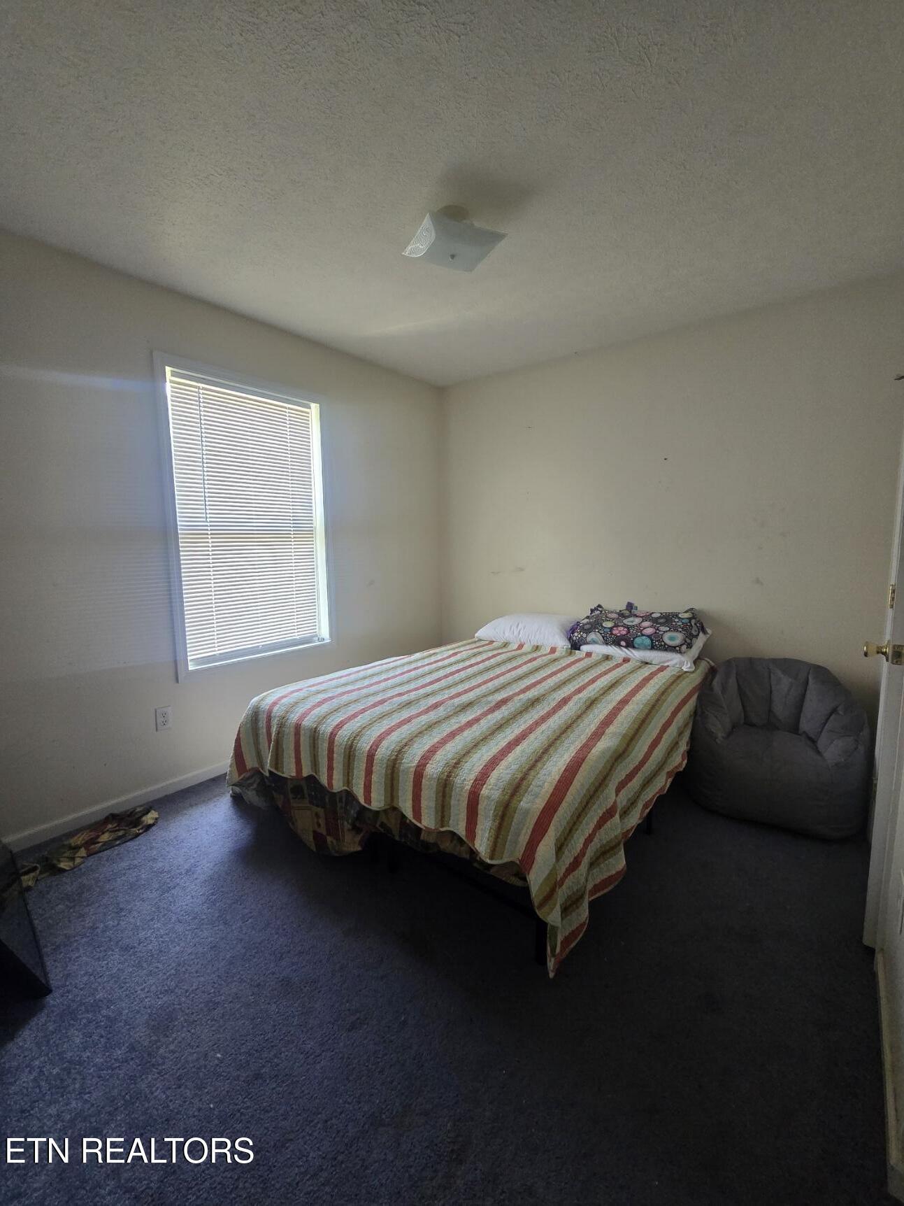 4619 Rugby Highway Robbins TN 37852