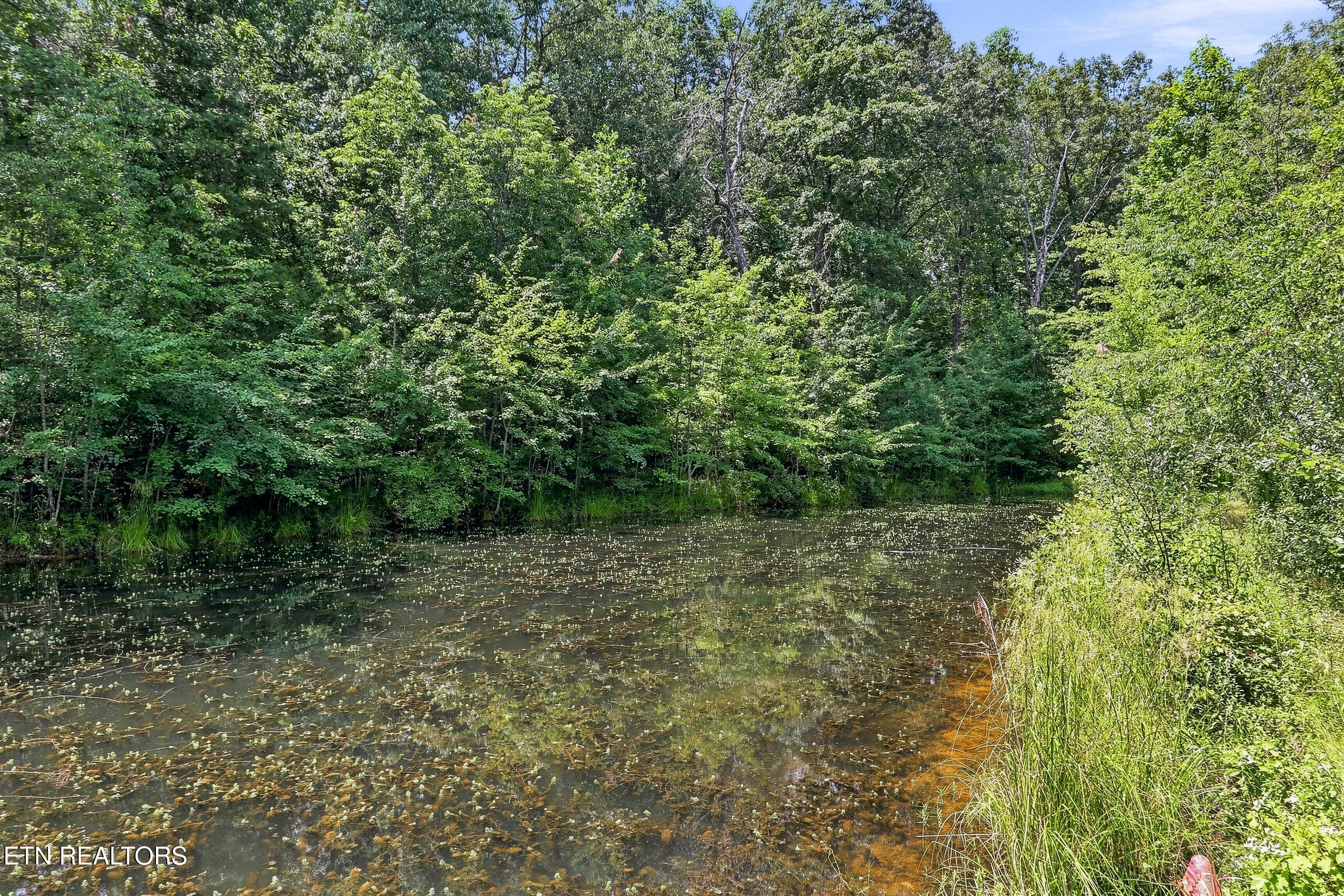638 Crestview Loop Crossville TN 38571