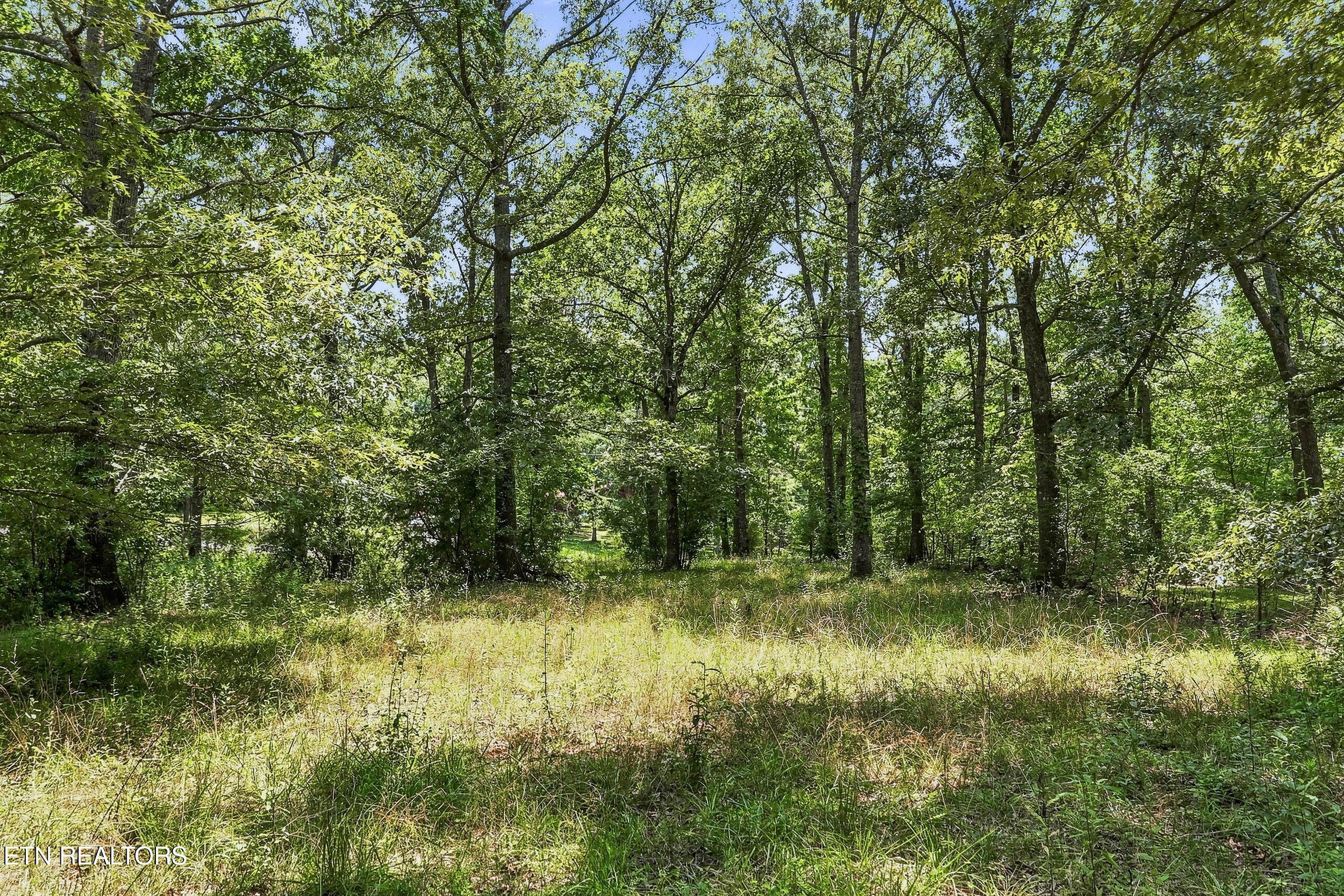 638 Crestview Loop Crossville TN 38571