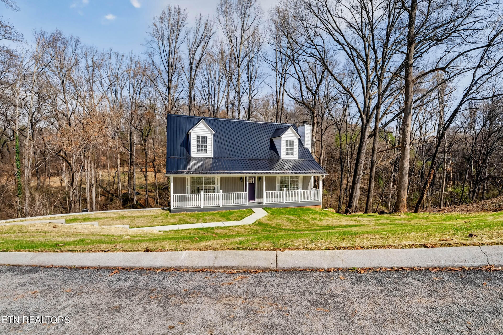 1050 Briar Court Talbott TN 37877