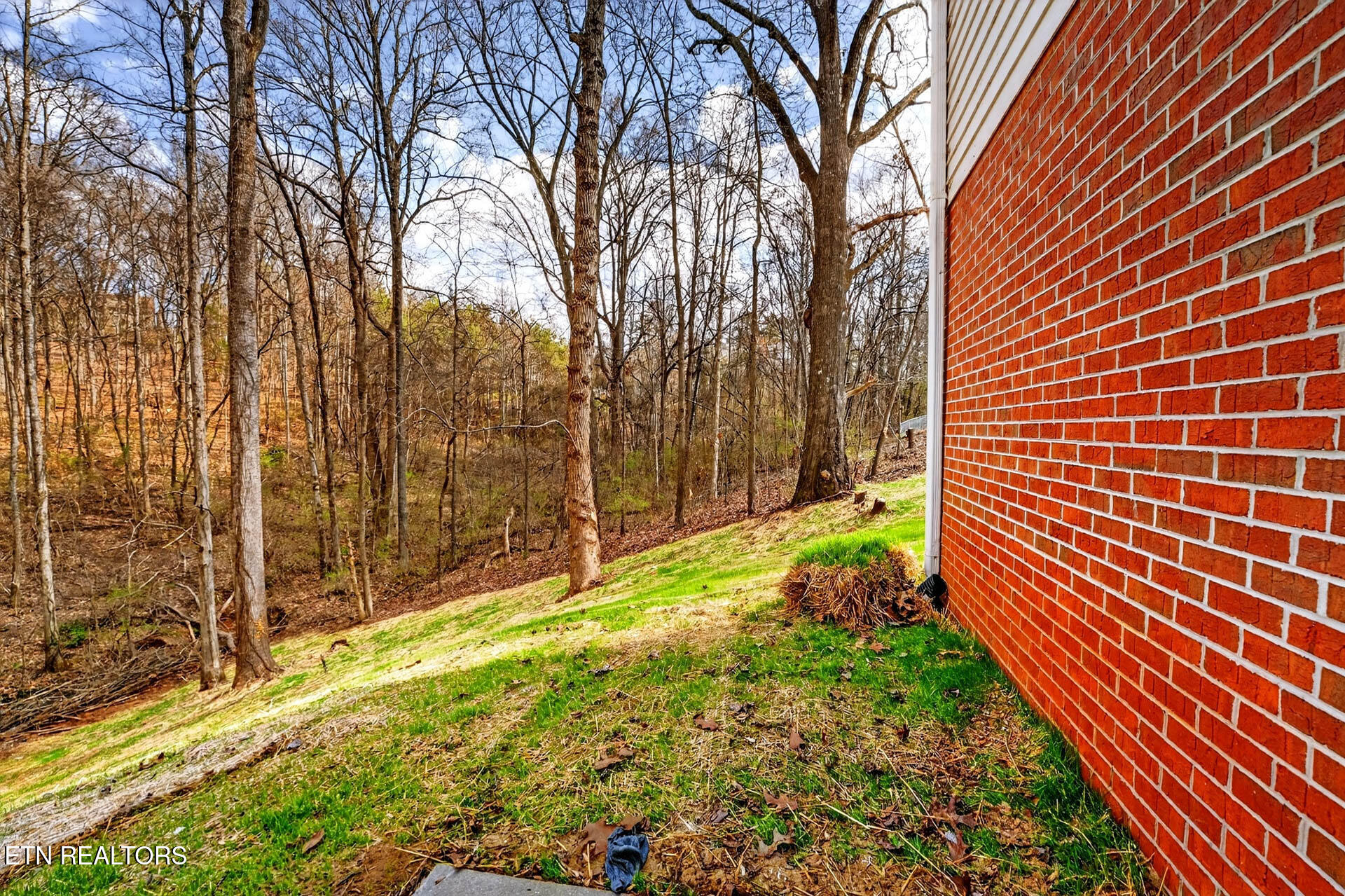 1050 Briar Court Talbott TN 37877