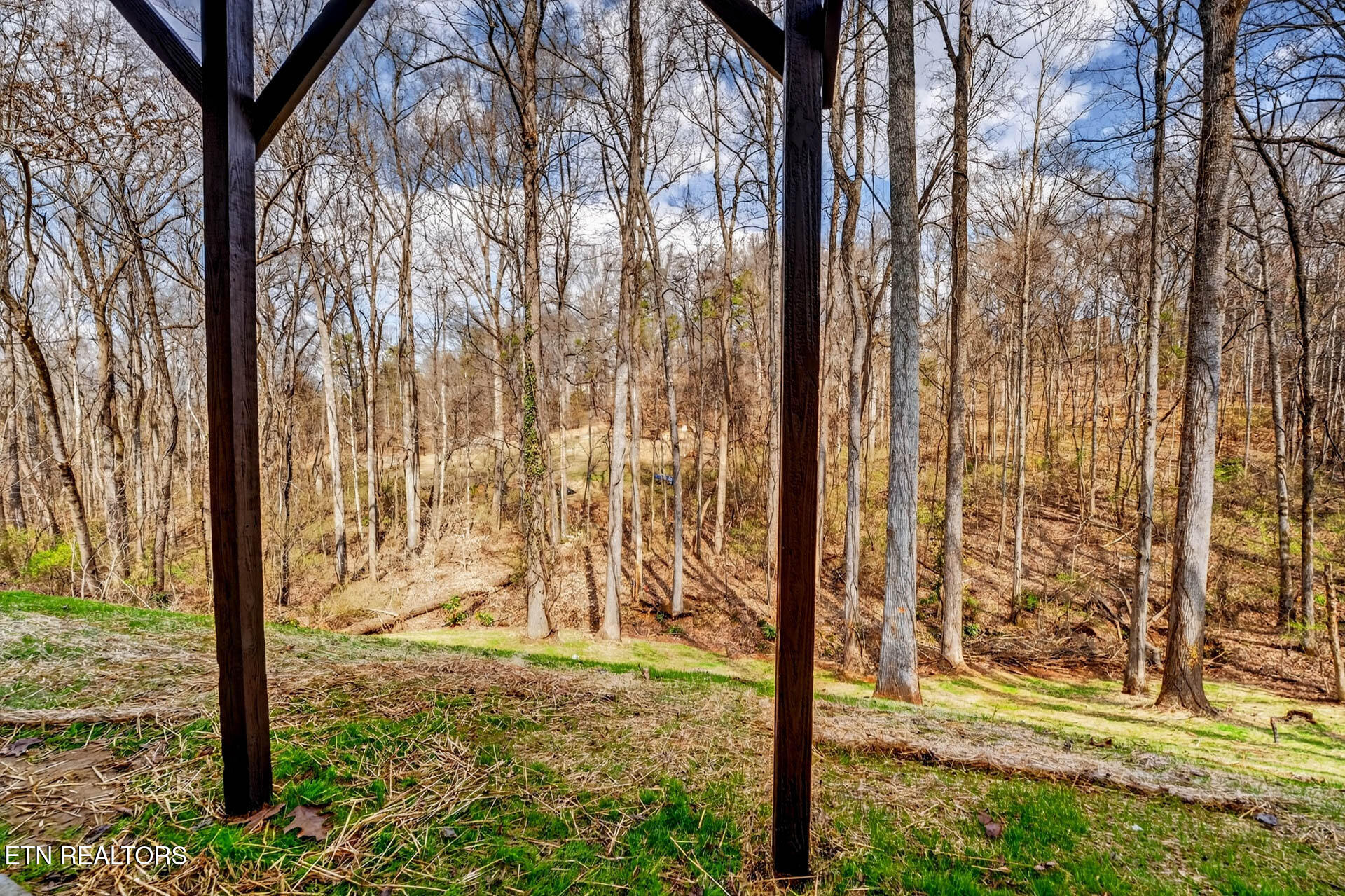 1050 Briar Court Talbott TN 37877