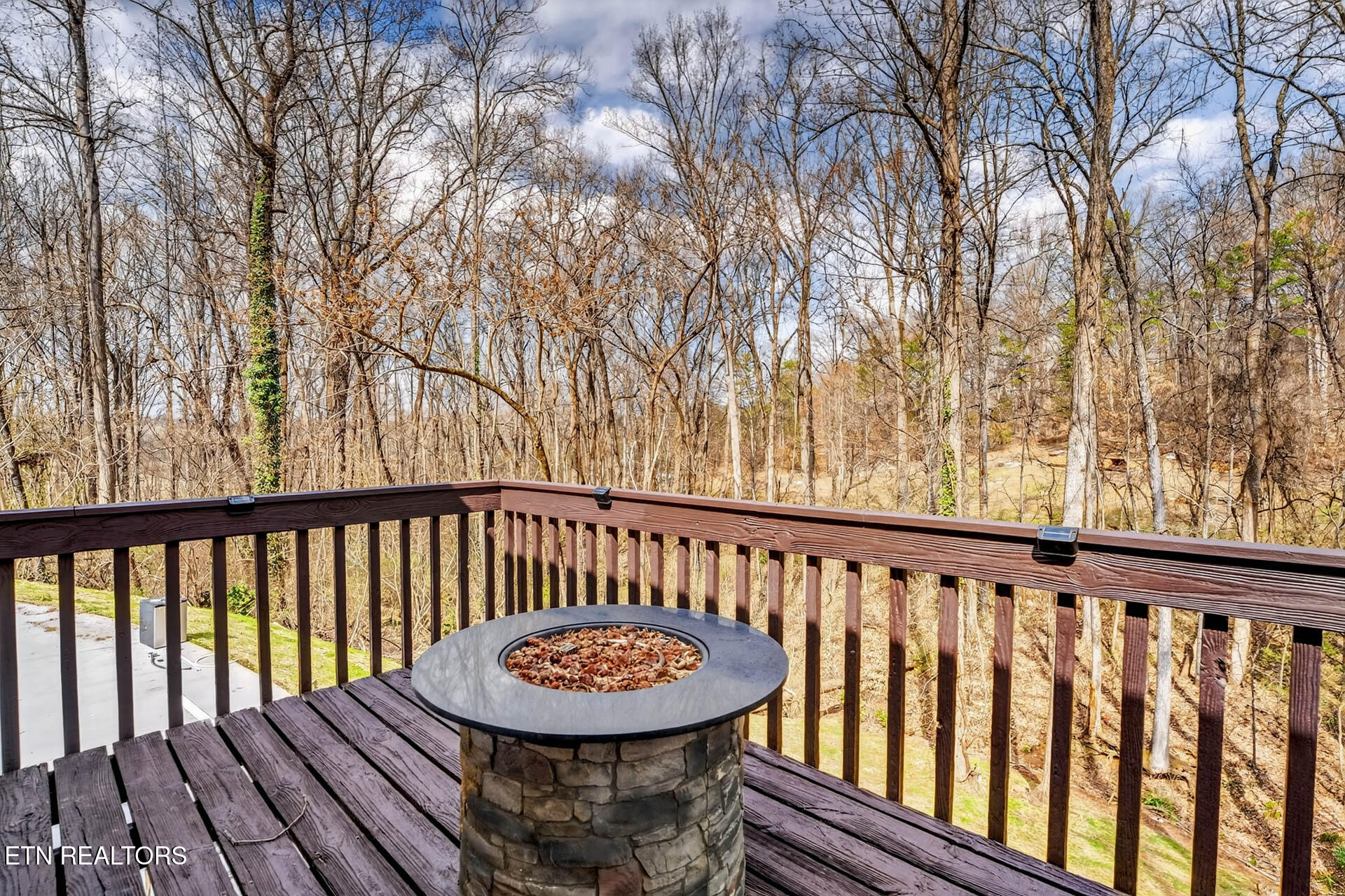 1050 Briar Court Talbott TN 37877