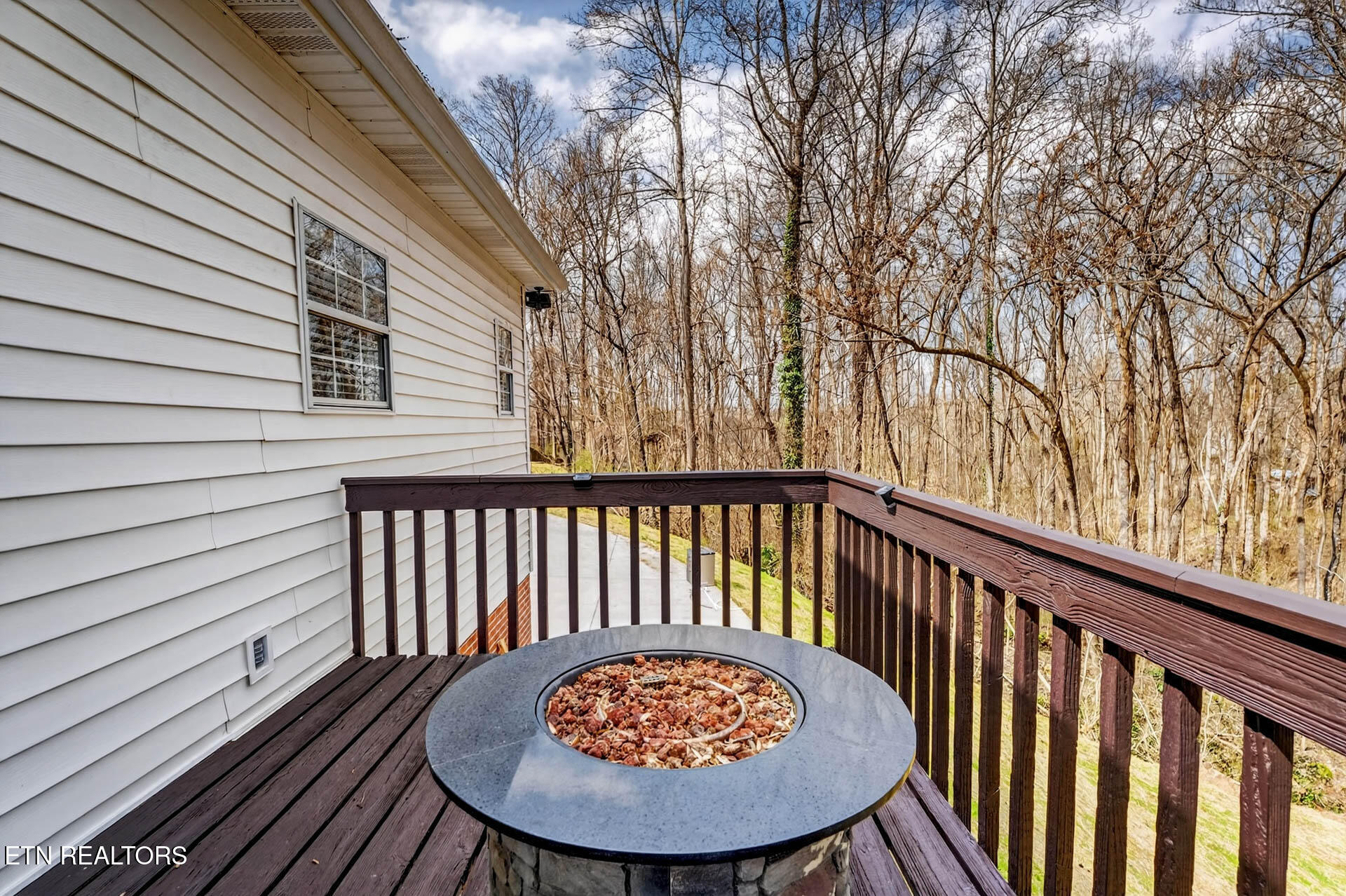 1050 Briar Court Talbott TN 37877