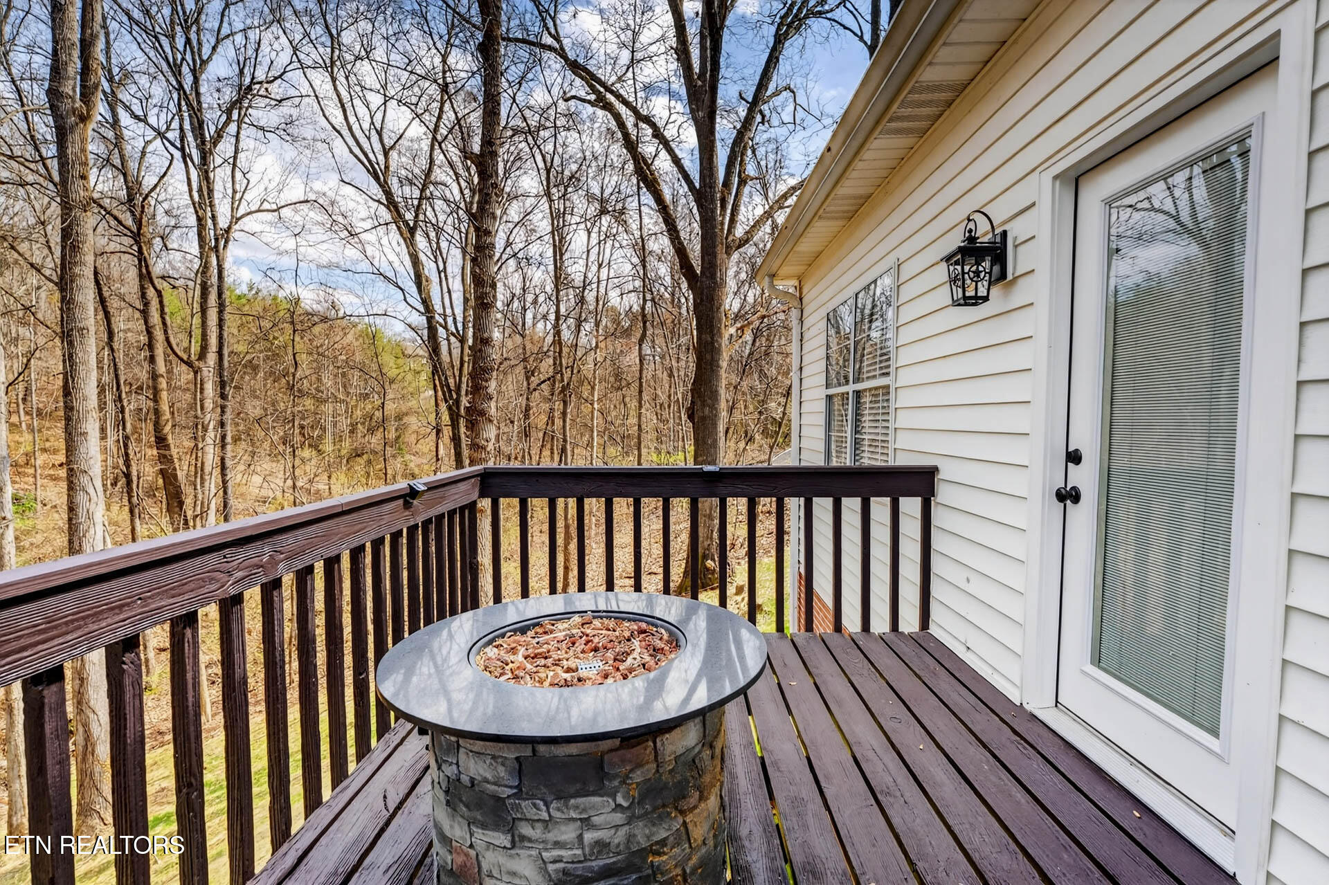 1050 Briar Court Talbott TN 37877