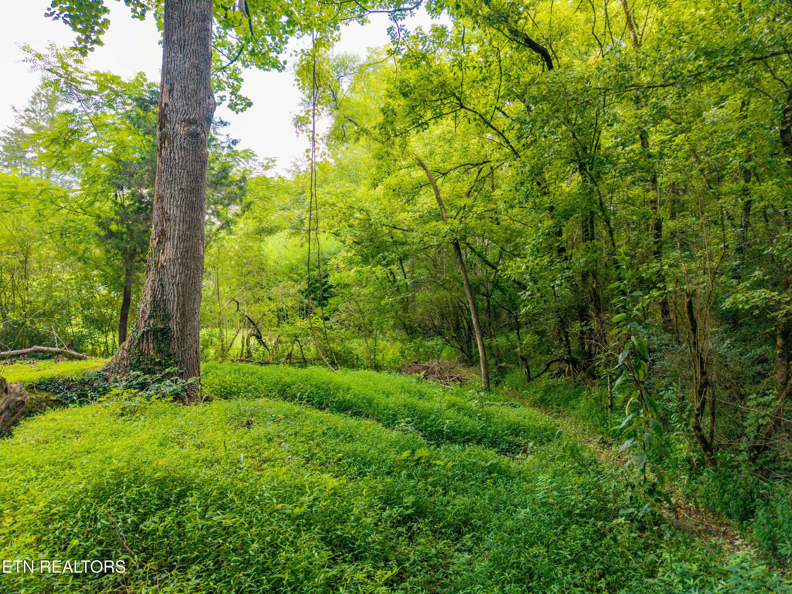 143 Old West Millers Cove Road Walland TN 37886