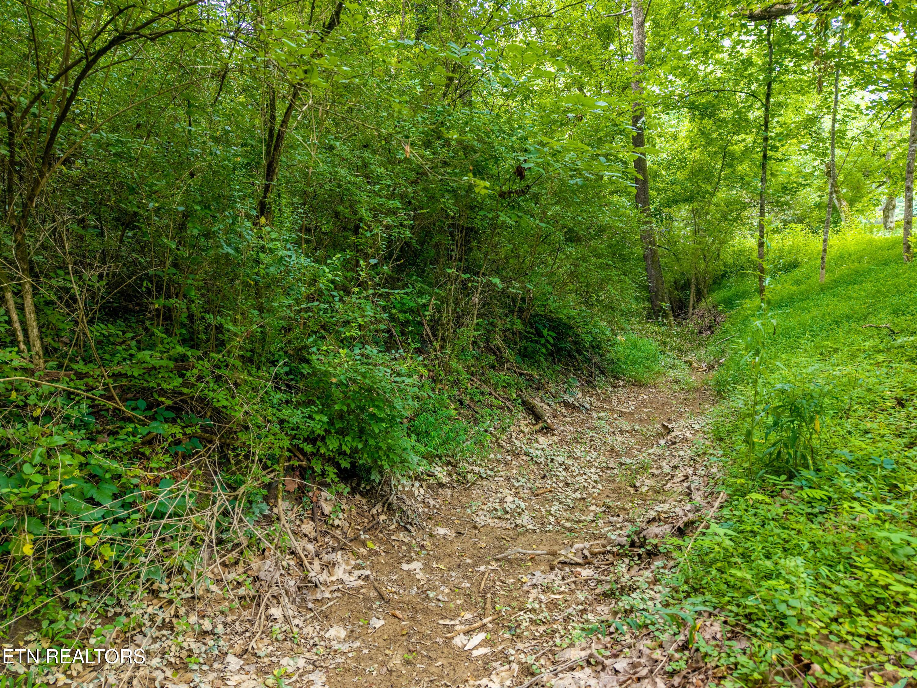 143 Old West Millers Cove Road Walland TN 37886