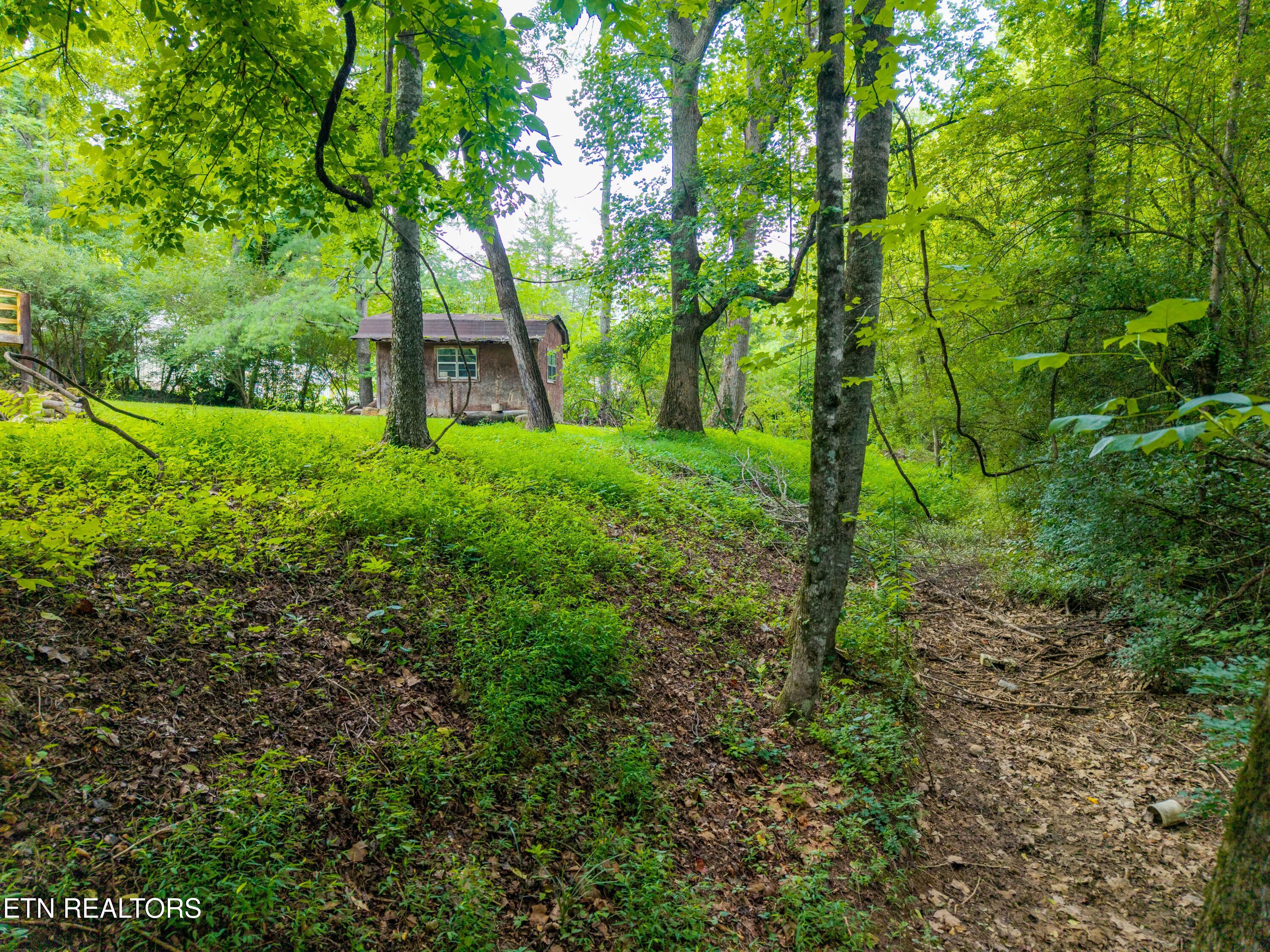 143 Old West Millers Cove Road Walland TN 37886