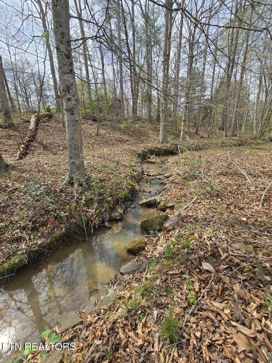 339 Edgewood Boulevard Oneida TN 37841