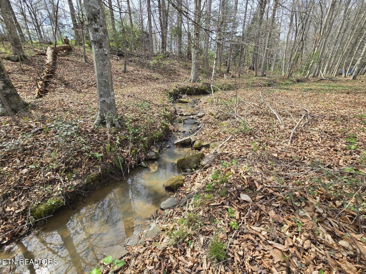 339 Edgewood Boulevard Oneida TN 37841